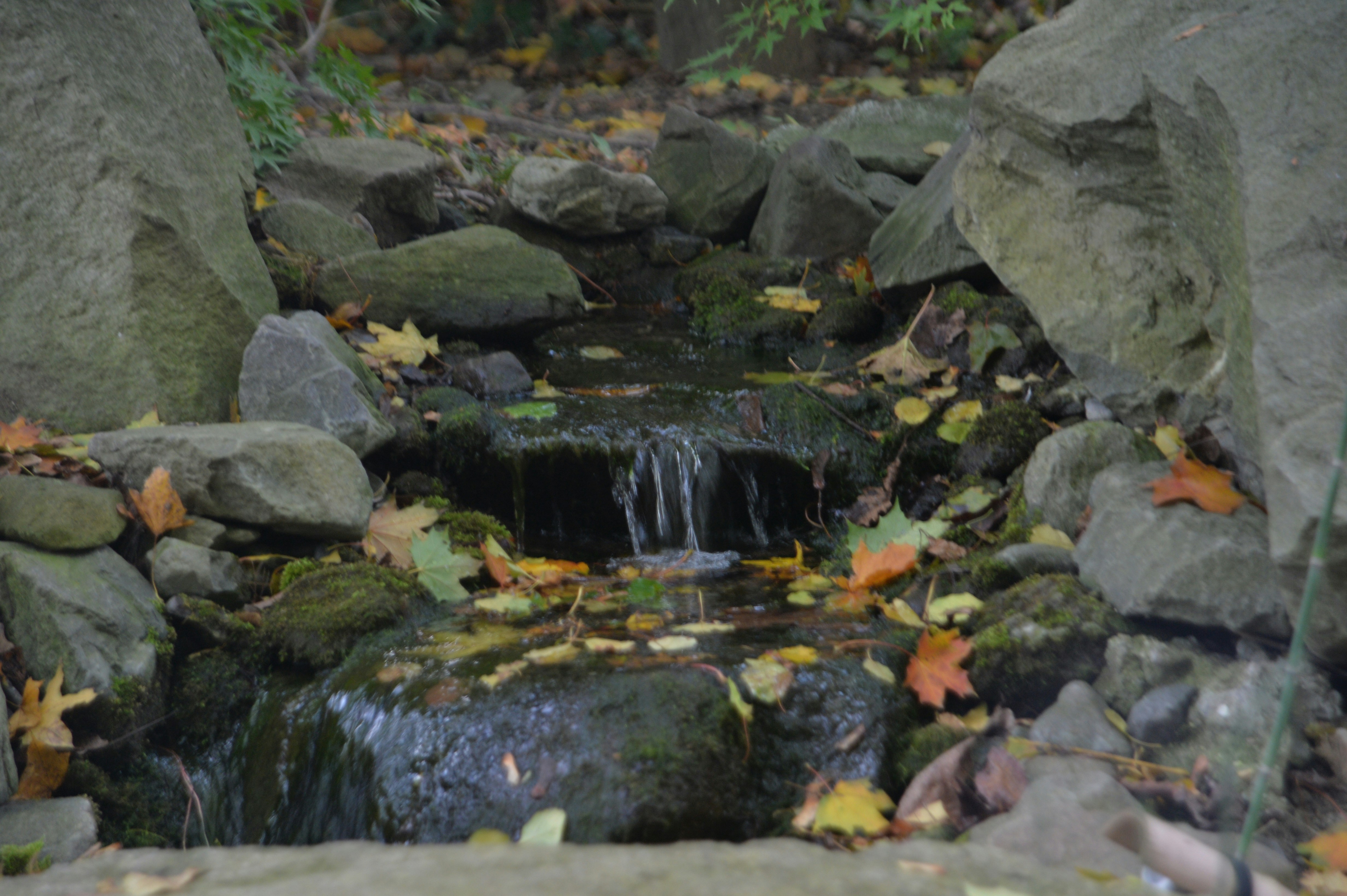 a small waterfall surrounded by rocks and leaves