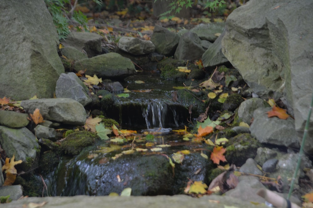 a small waterfall surrounded by rocks and leaves