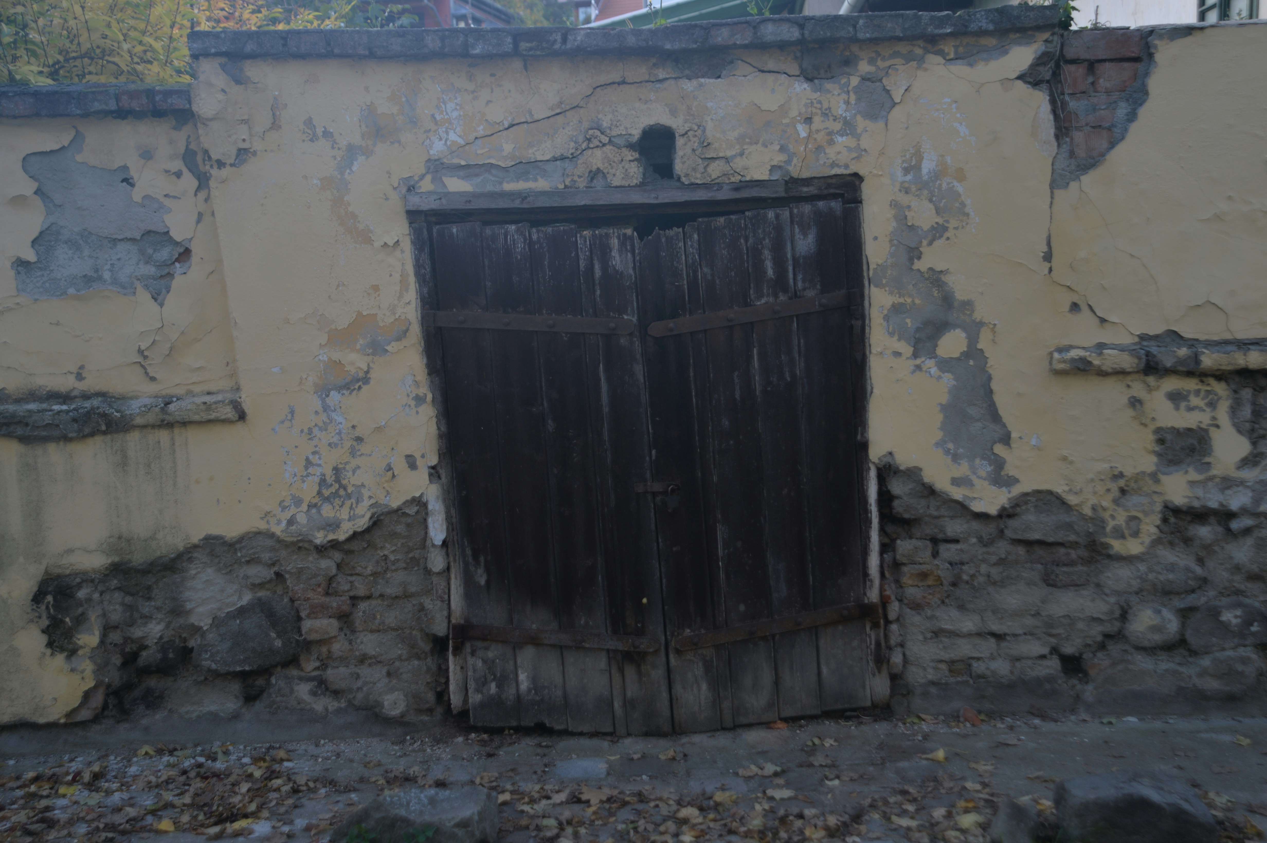 Photo by baliko_andras