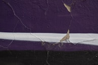A close-up of a wall with significant cracks in the purple paint. The wall features a white horizontal stripe in the middle. There are patches where the paint is peeling off, revealing a beige color underneath.