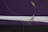 A close-up of a wall with significant cracks in the purple paint. The wall features a white horizontal stripe in the middle. There are patches where the paint is peeling off, revealing a beige color underneath.