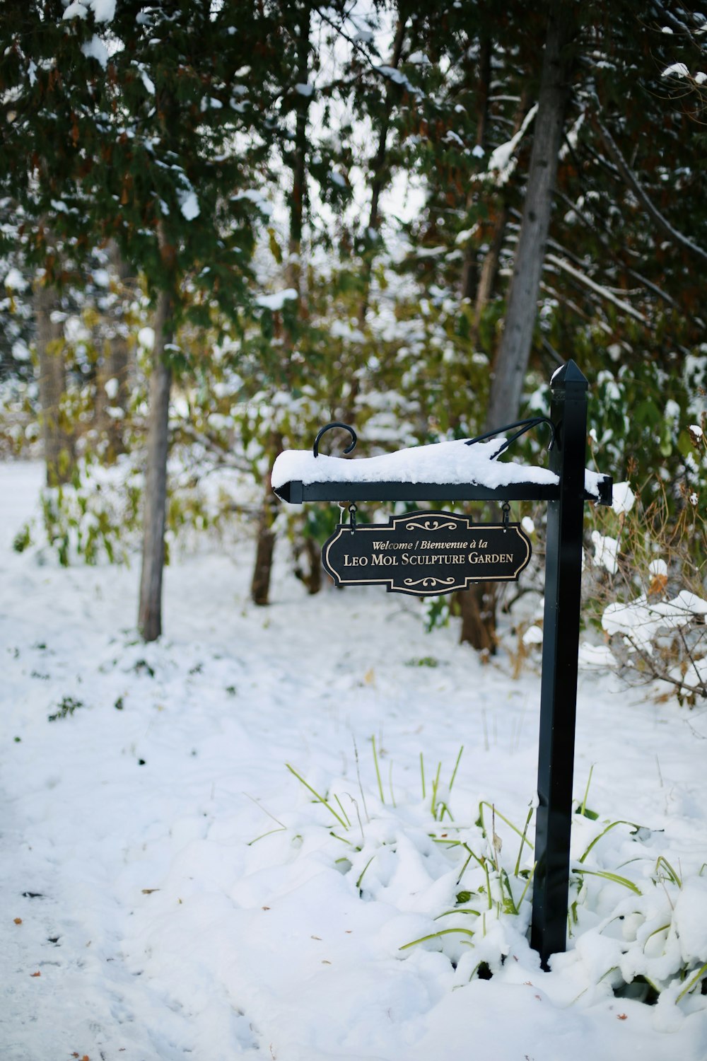 a sign in the snow near some trees
