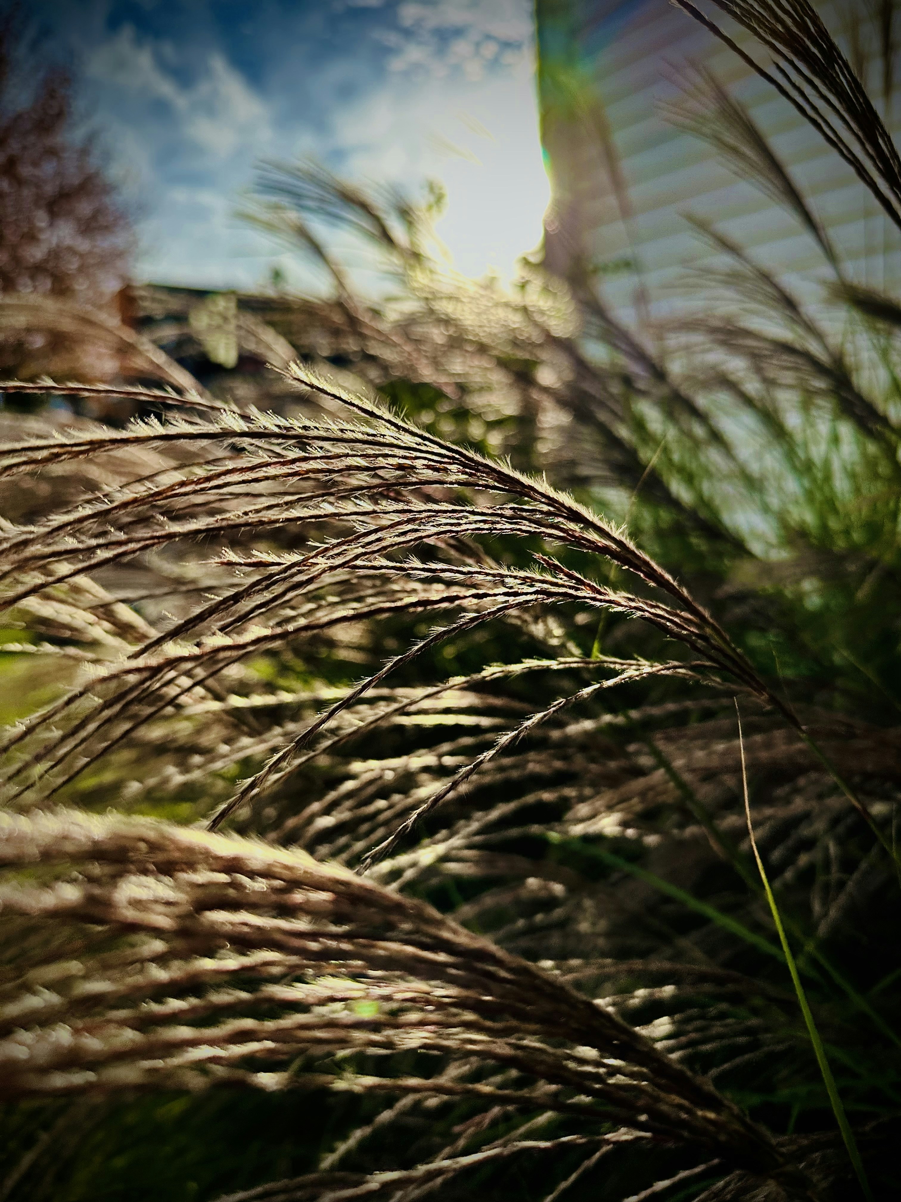 Photo by ndailey1