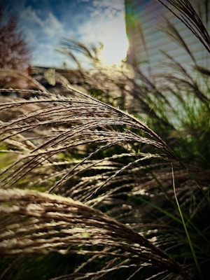 Photo 1698596642297 Aead3d2229e5?q=85&w=700&h=400&fit=crop