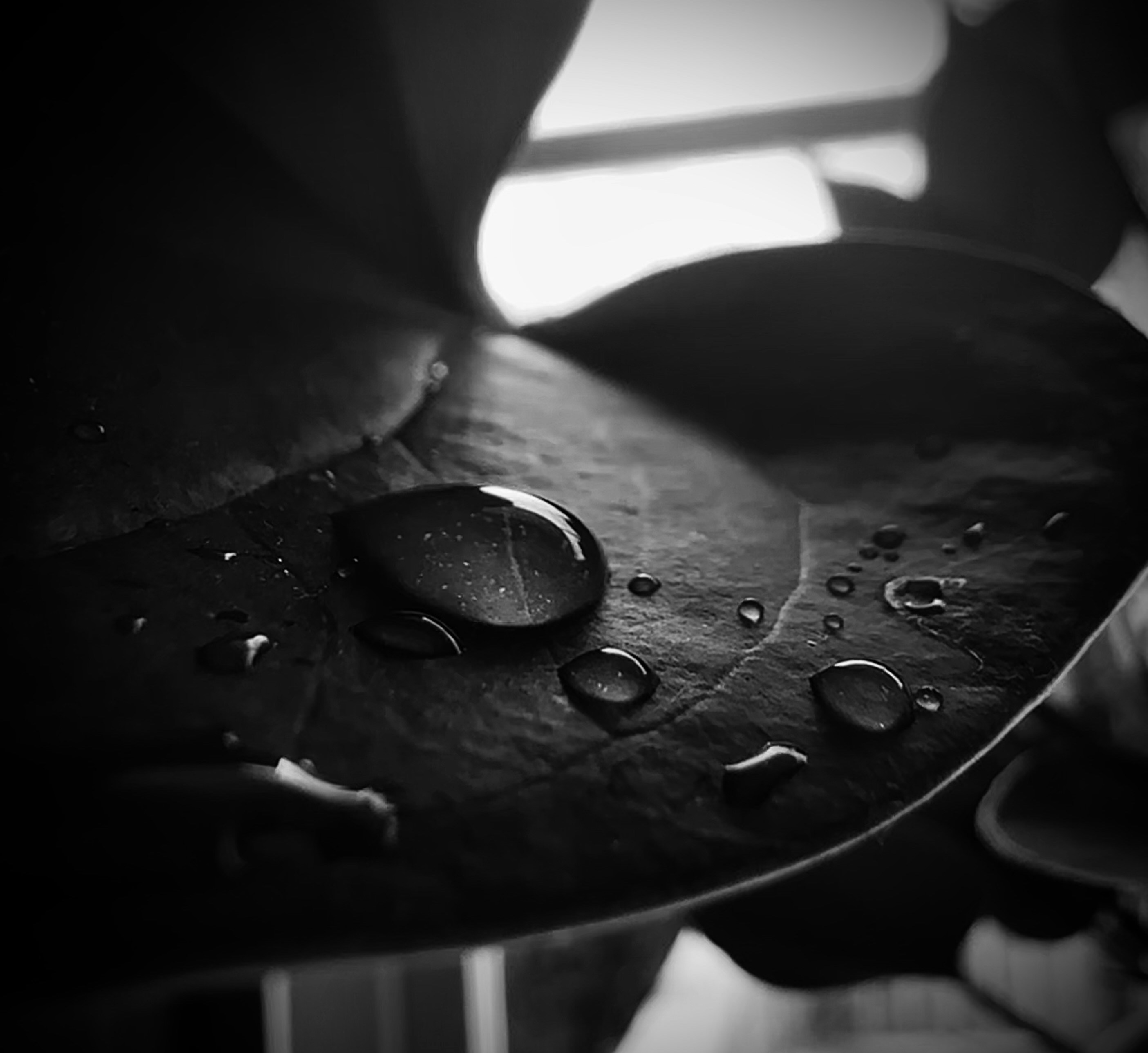 photo-1698596691806-f3019a7e7792?ixid=M3wxMjA3fDB8MXxzZWFyY2h8MTZ8fGFjZWl0ZSUyMGRlJTIwc2FuZGFsb3xlbnwwfHx8fDE3NTk0ODc4MTR8MA\u0026ixlib=rb-4.1.0