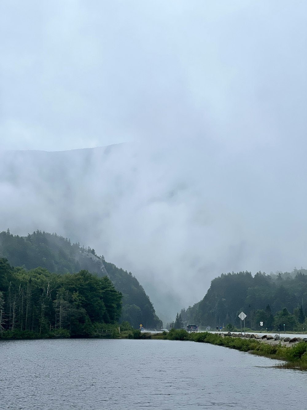 a body of water surrounded by a forest