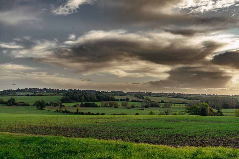 a green field with trees and clouds in the background