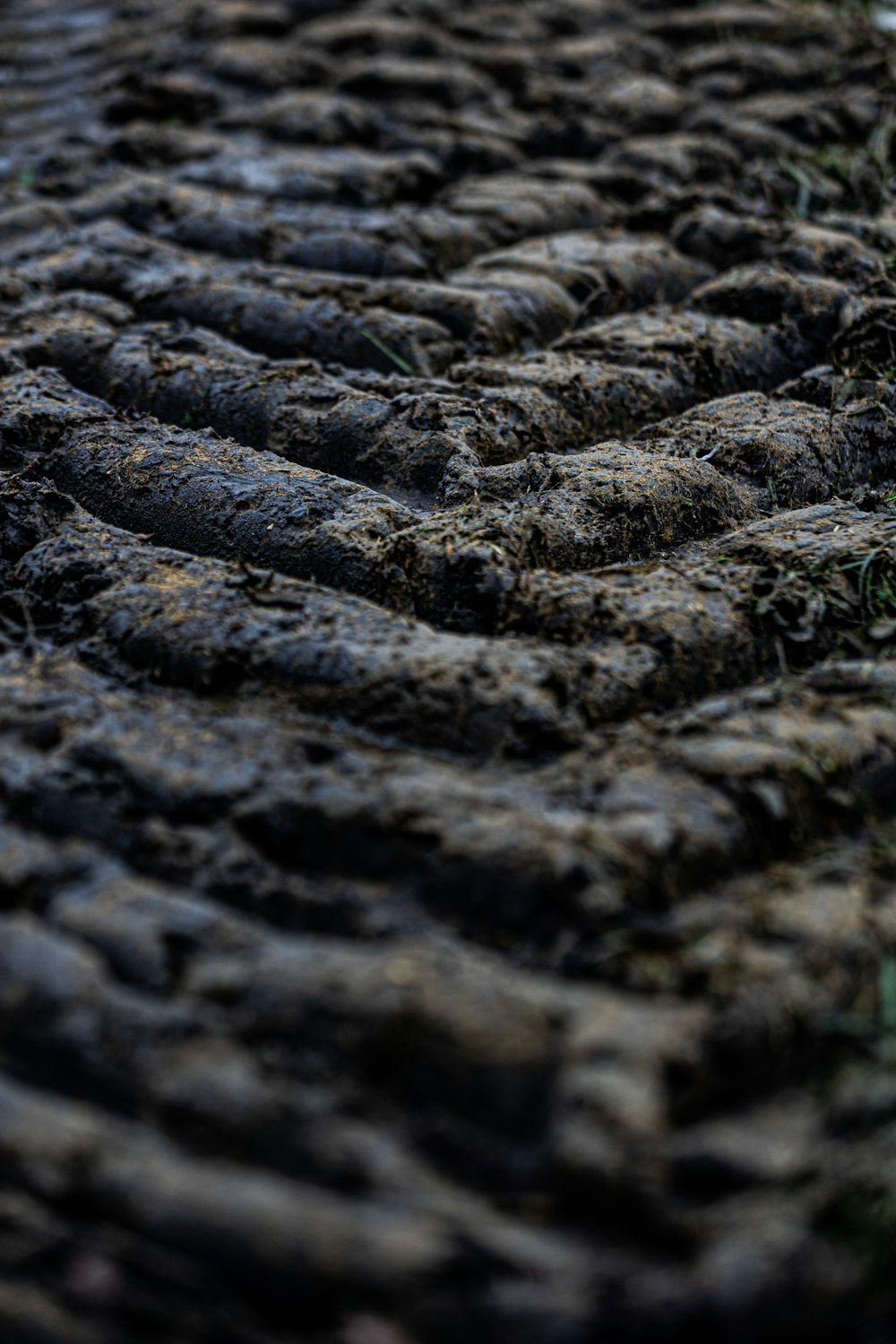 a close up of a tire on the ground
