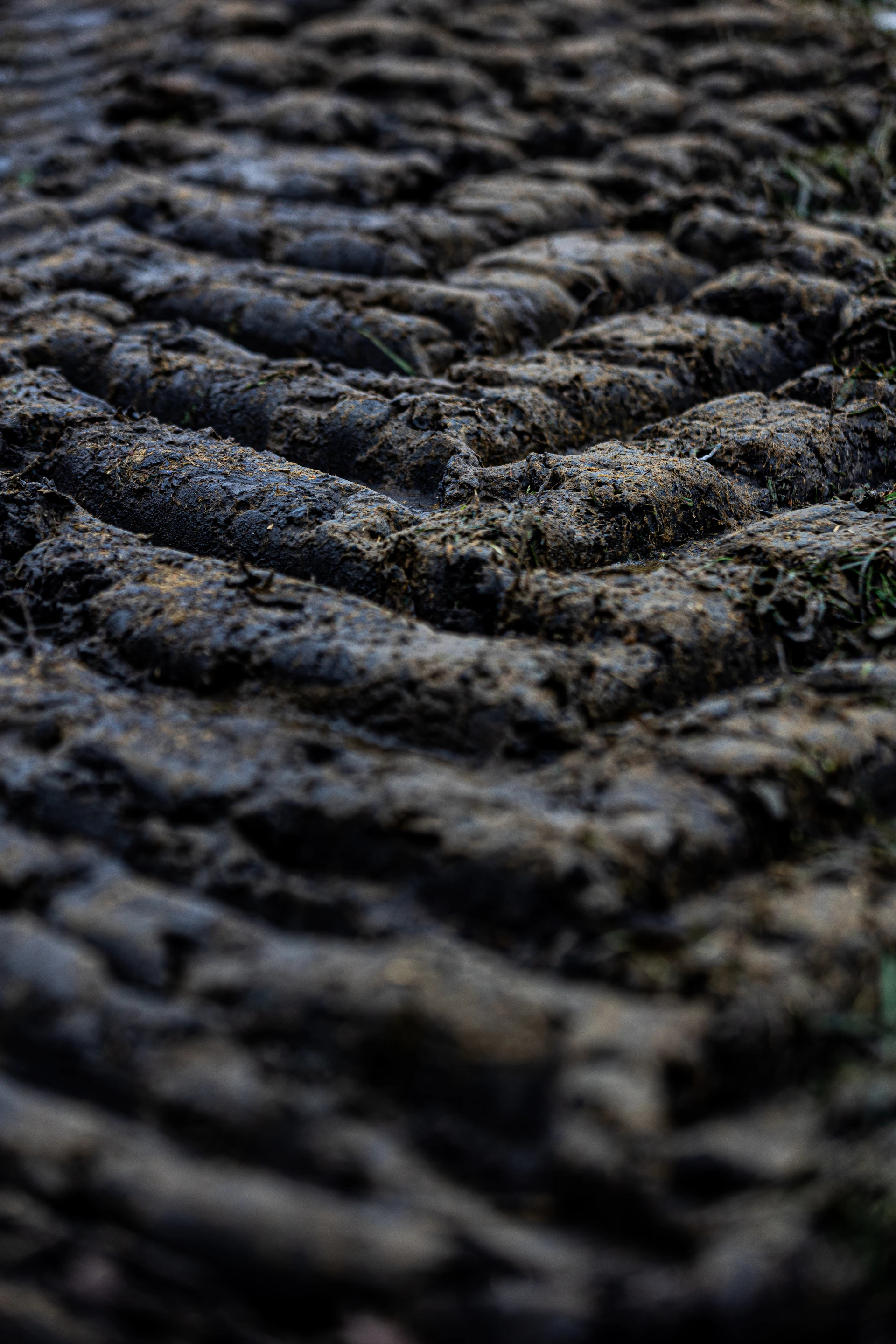 woman wearing yellow long-sleeved dress under white clouds and blue sky during daytime