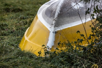 a yellow and white object sitting in the grass