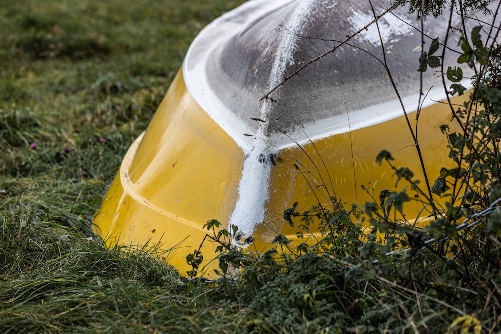 ein gelb-weißer Gegenstand, der im Gras sitzt