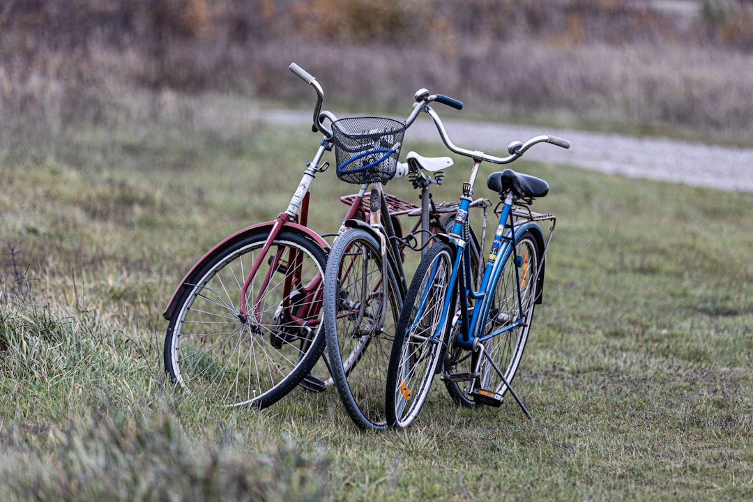 a couple of bikes that are sitting in the grass, Three bicycles in a field.
