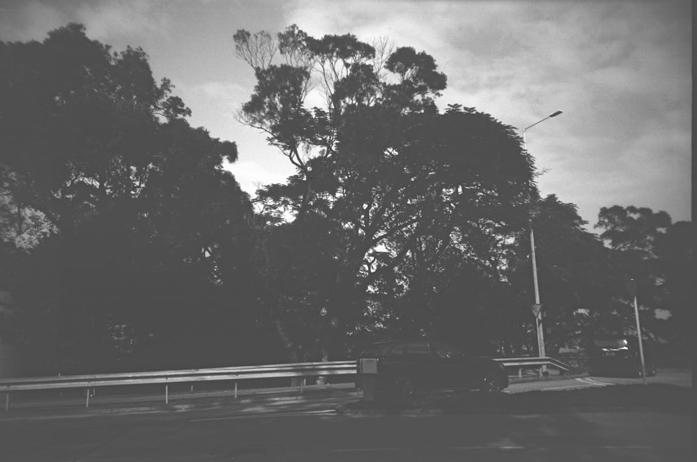 Una foto en blanco y negro de un banco y árboles