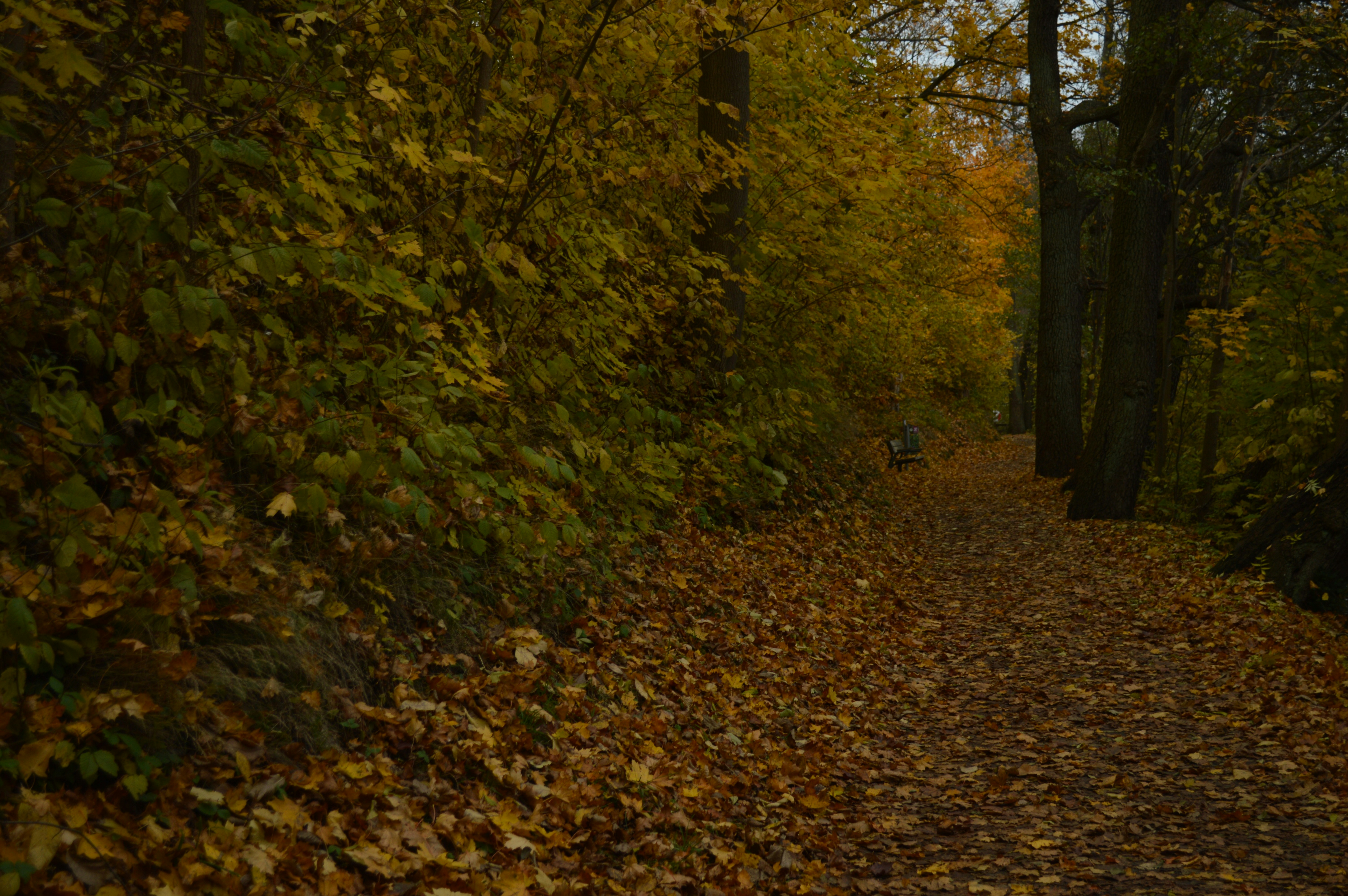 Photo by annarekstad