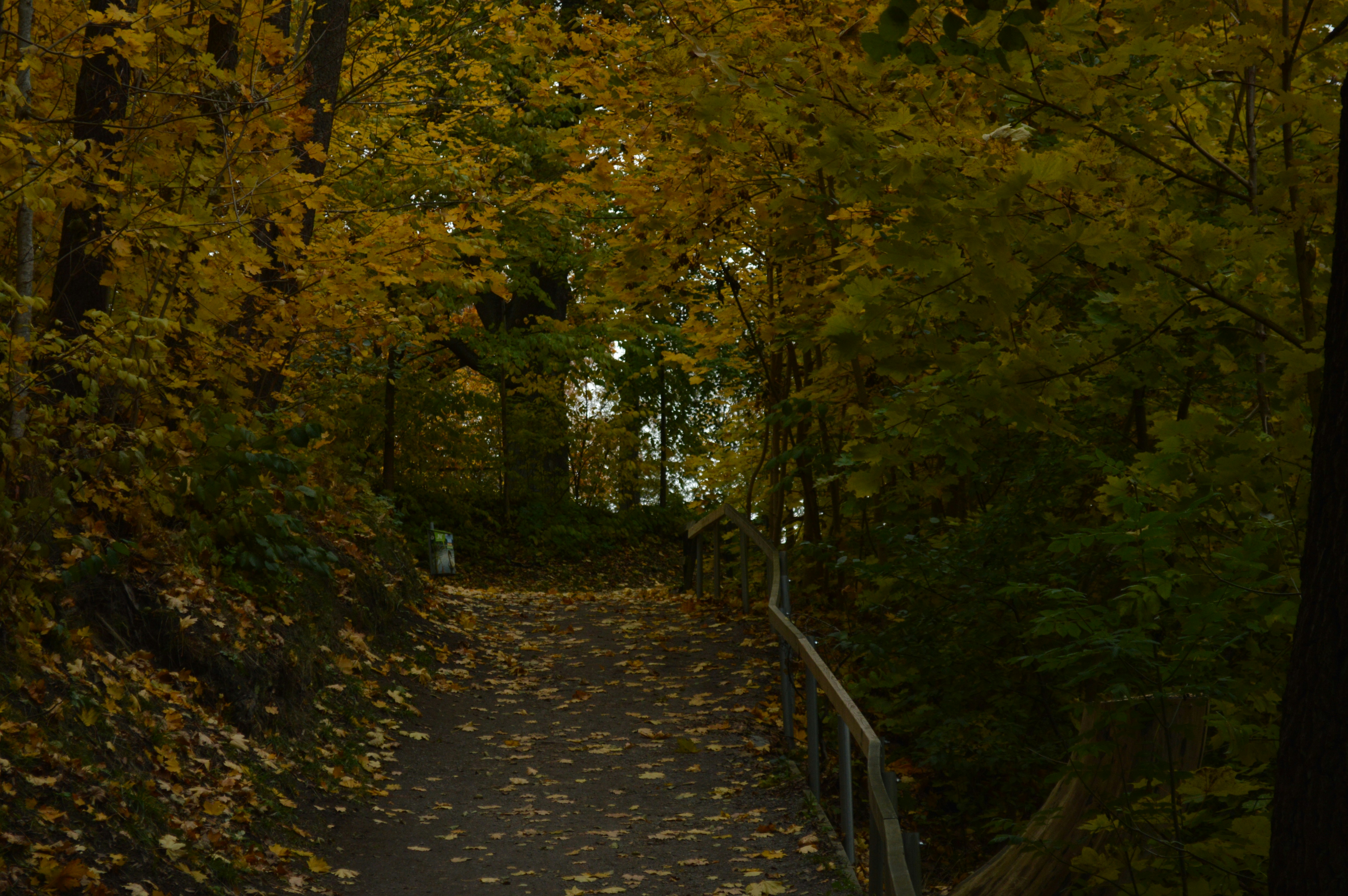 Photo by annarekstad