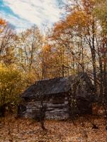 An old, weathered cabin rumored to be haunted, nestled among autumn-colored trees.