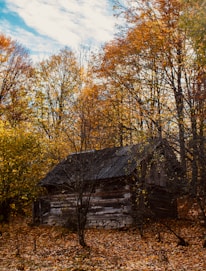 An old, weathered cabin deep in the Smoky Mountains surrounded by autumn leaves.