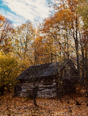 An old, weathered cabin rumored to be haunted, nestled among autumn-colored trees.