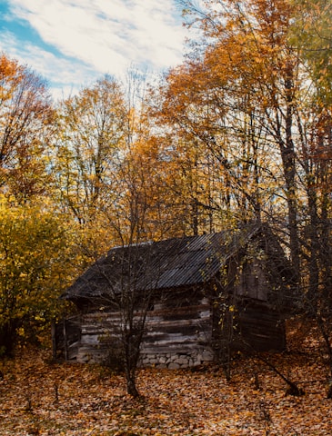 An old, weathered cabin deep in the Smoky Mountains surrounded by autumn leaves.