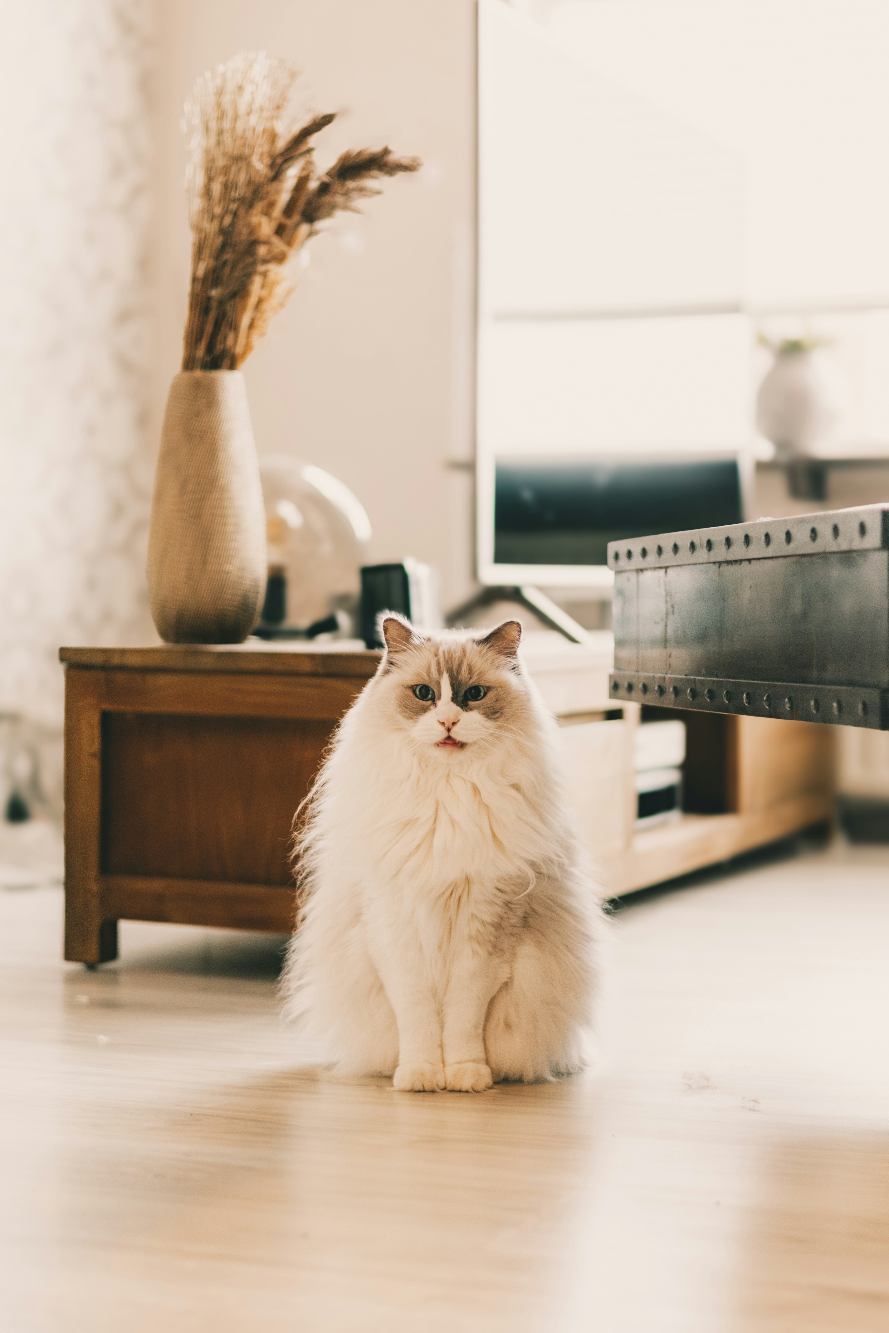 Photo by lorenzohamers