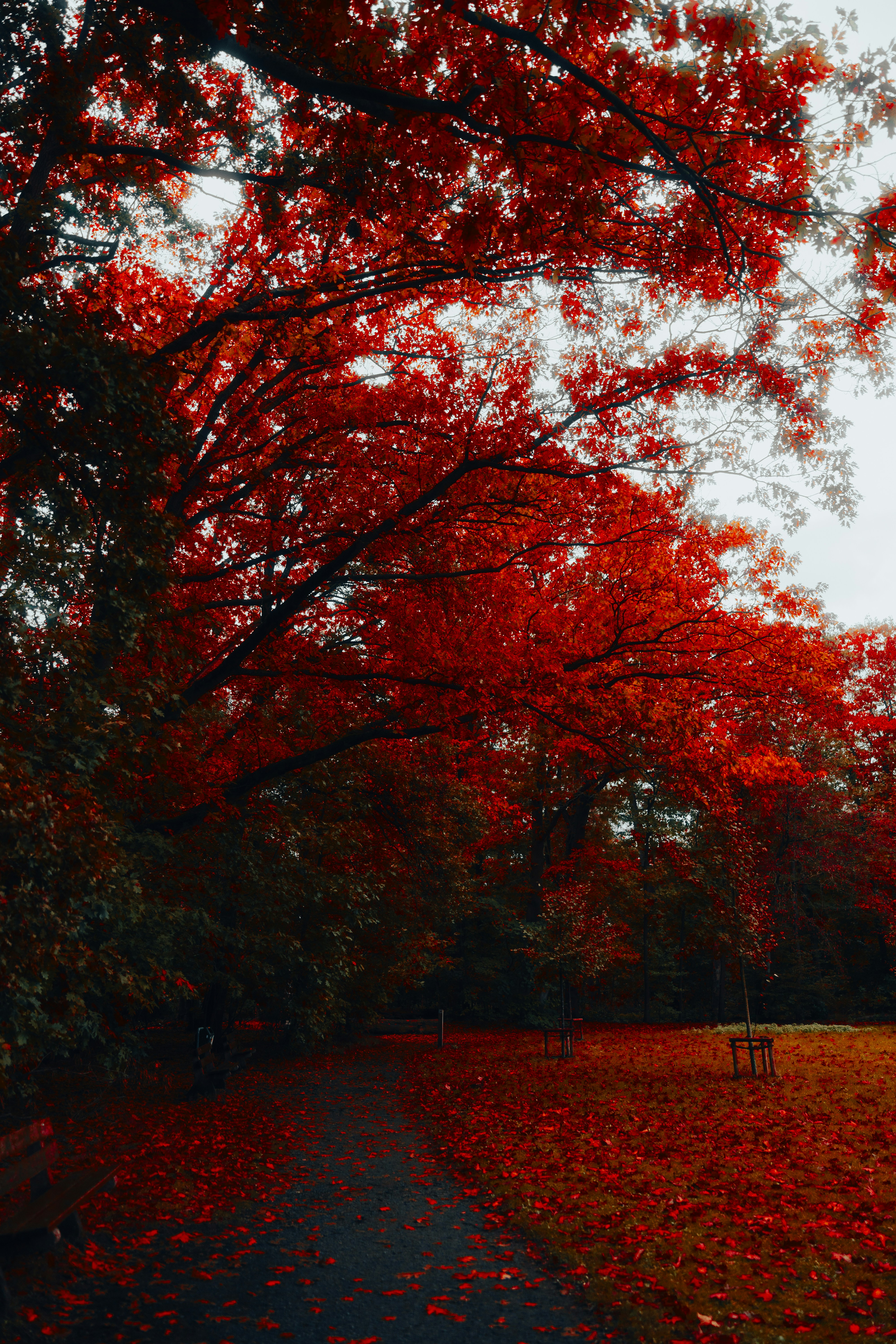 Photo by lorenzohamers