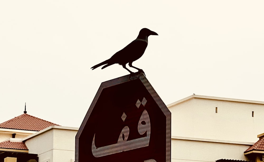 a black bird sitting on top of a stop sign