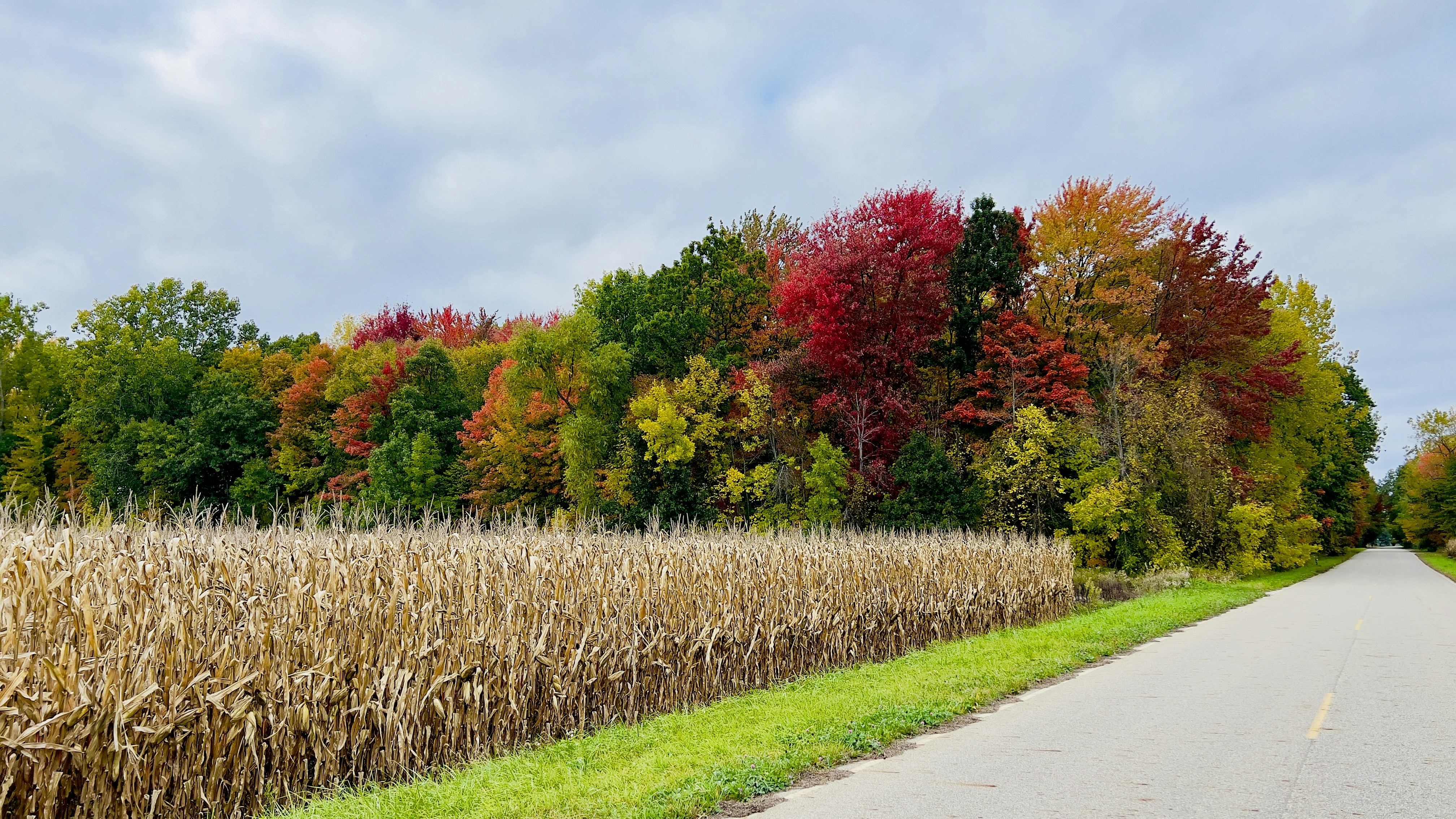 Woodland Acres Preserve