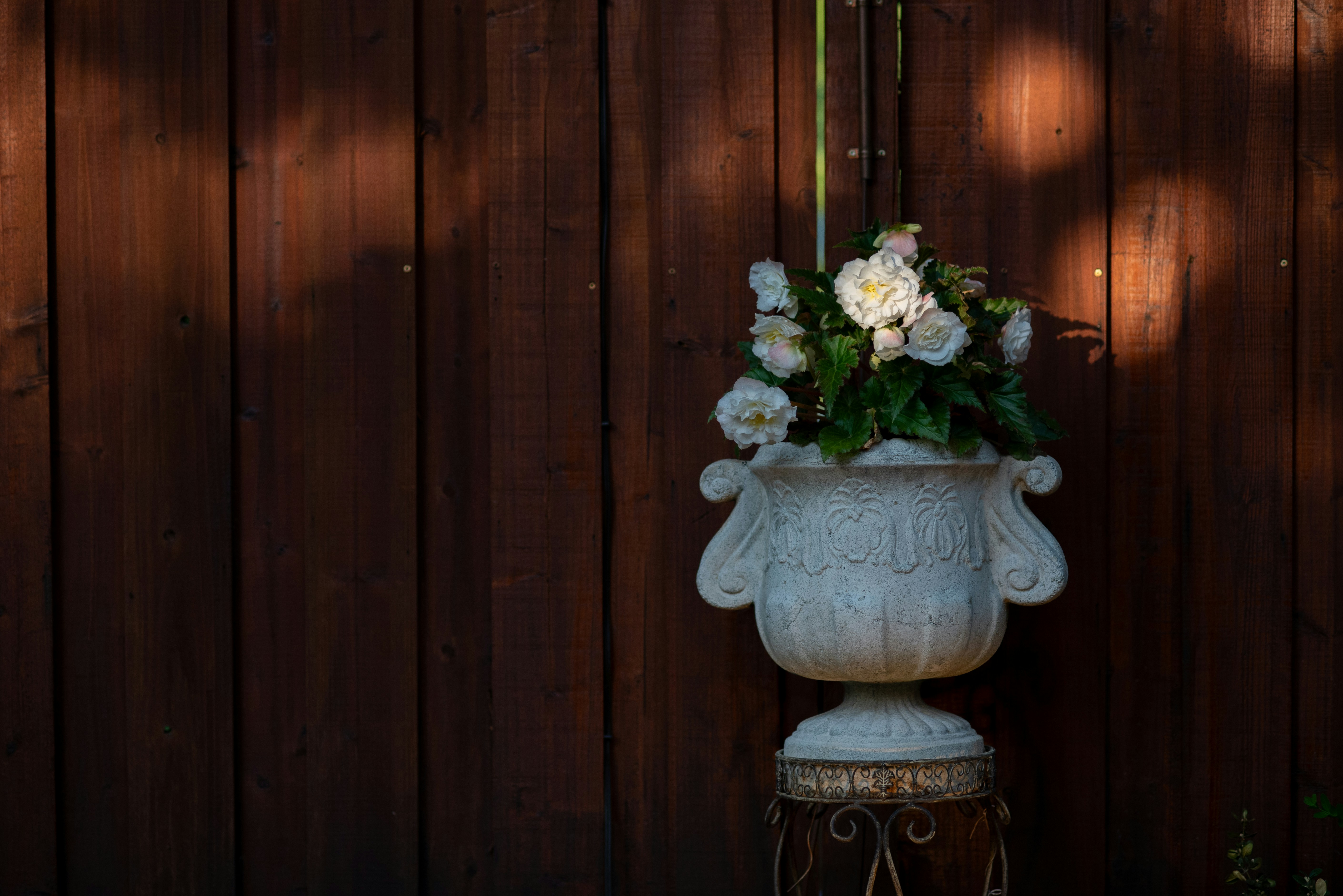 Photo by caitlinferwin