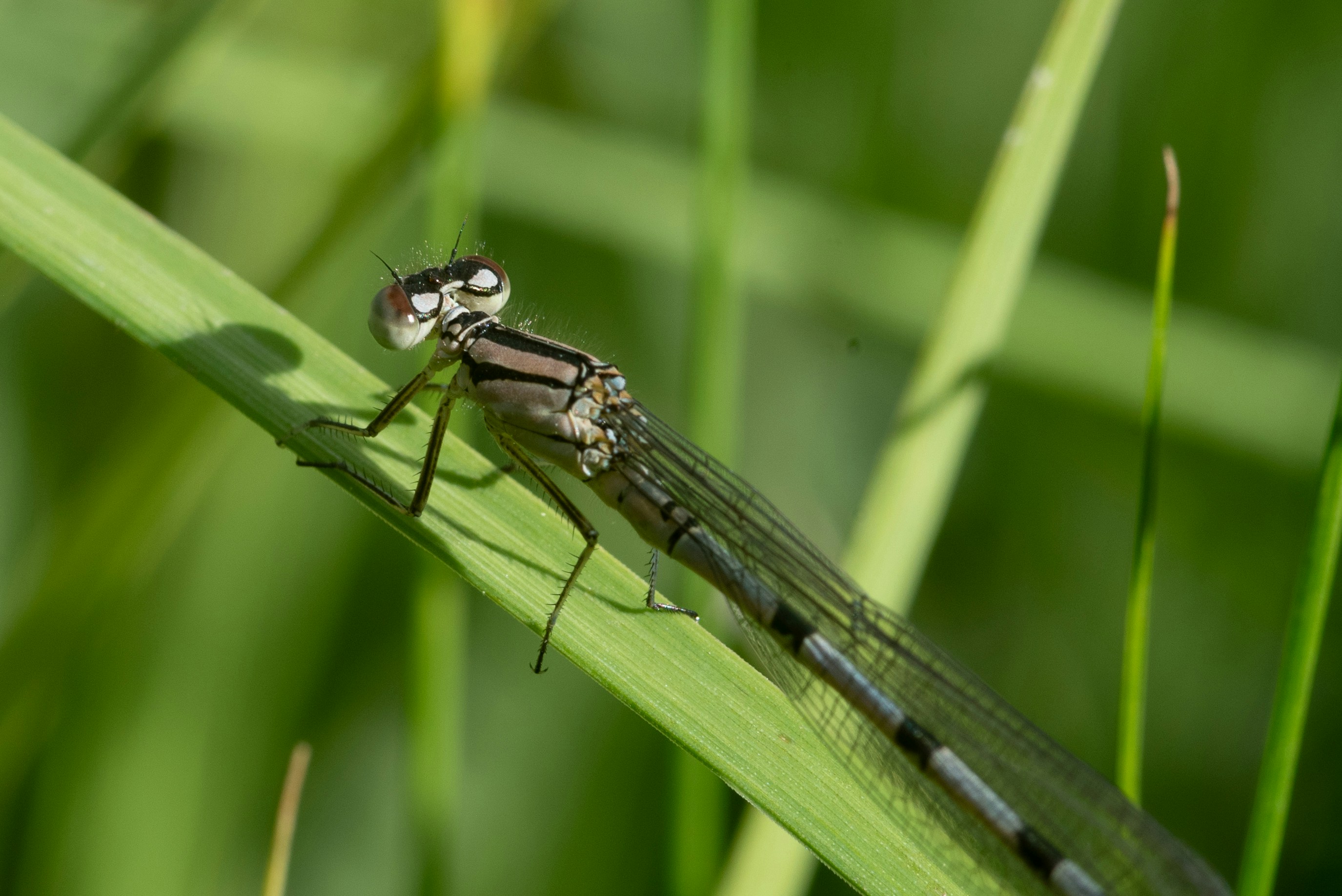 Photo by caitlinferwin