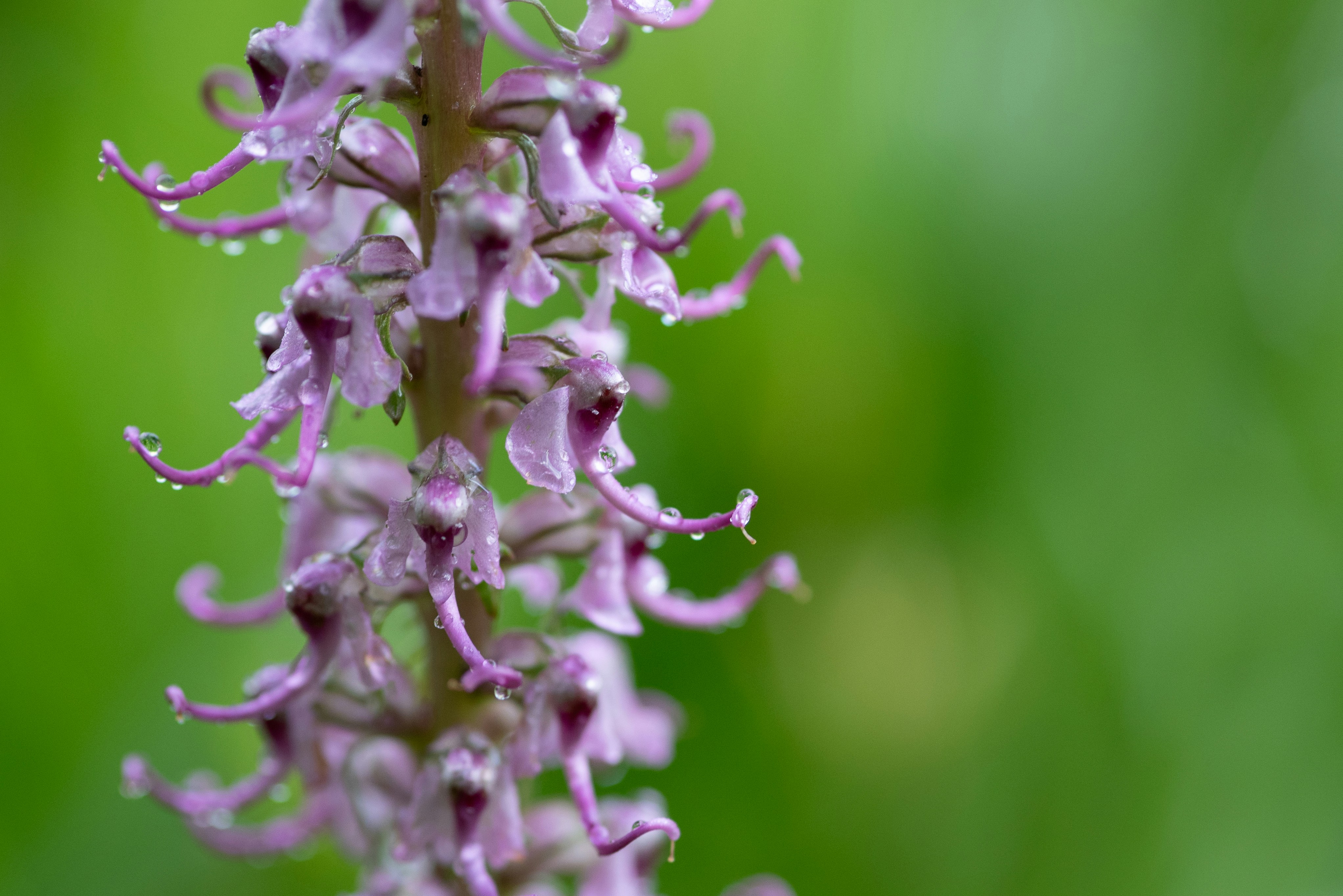 Photo by caitlinferwin