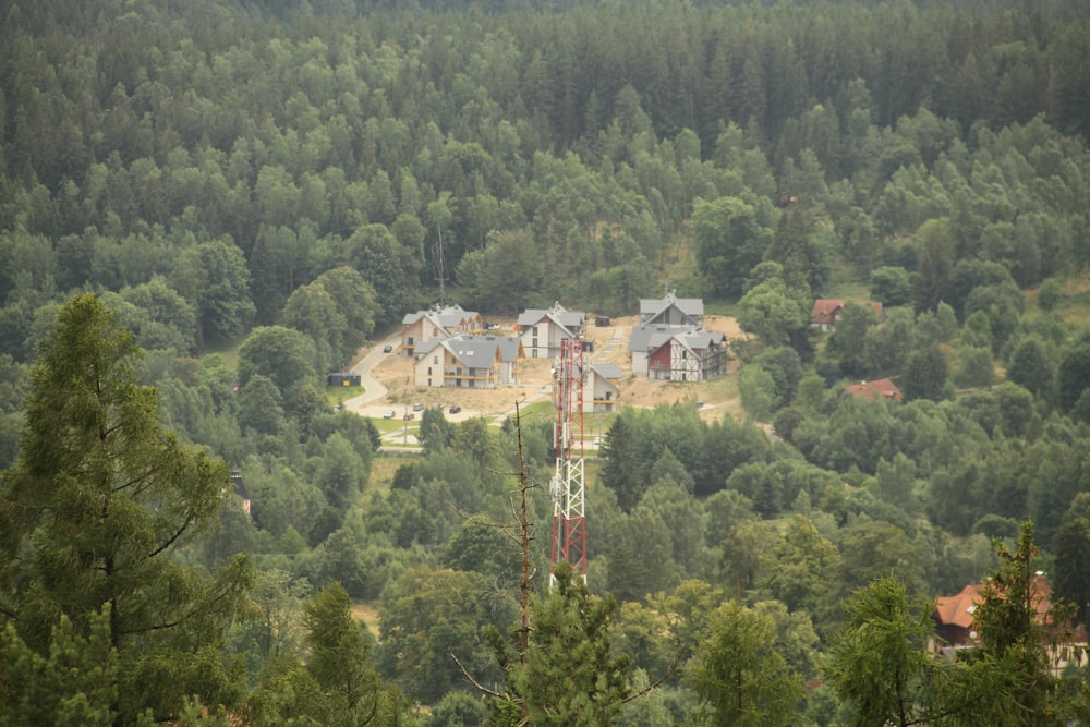 a view of a house in the middle of a forest