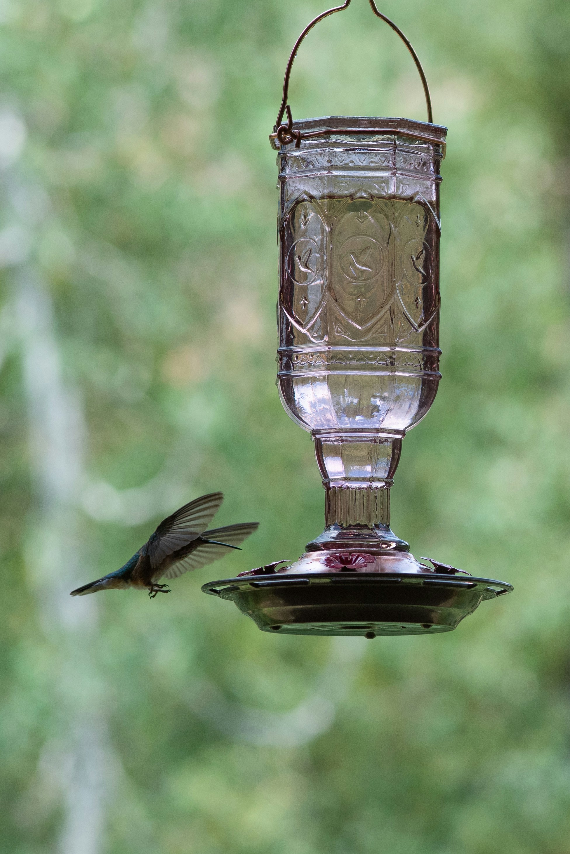 Photo by caitlinferwin