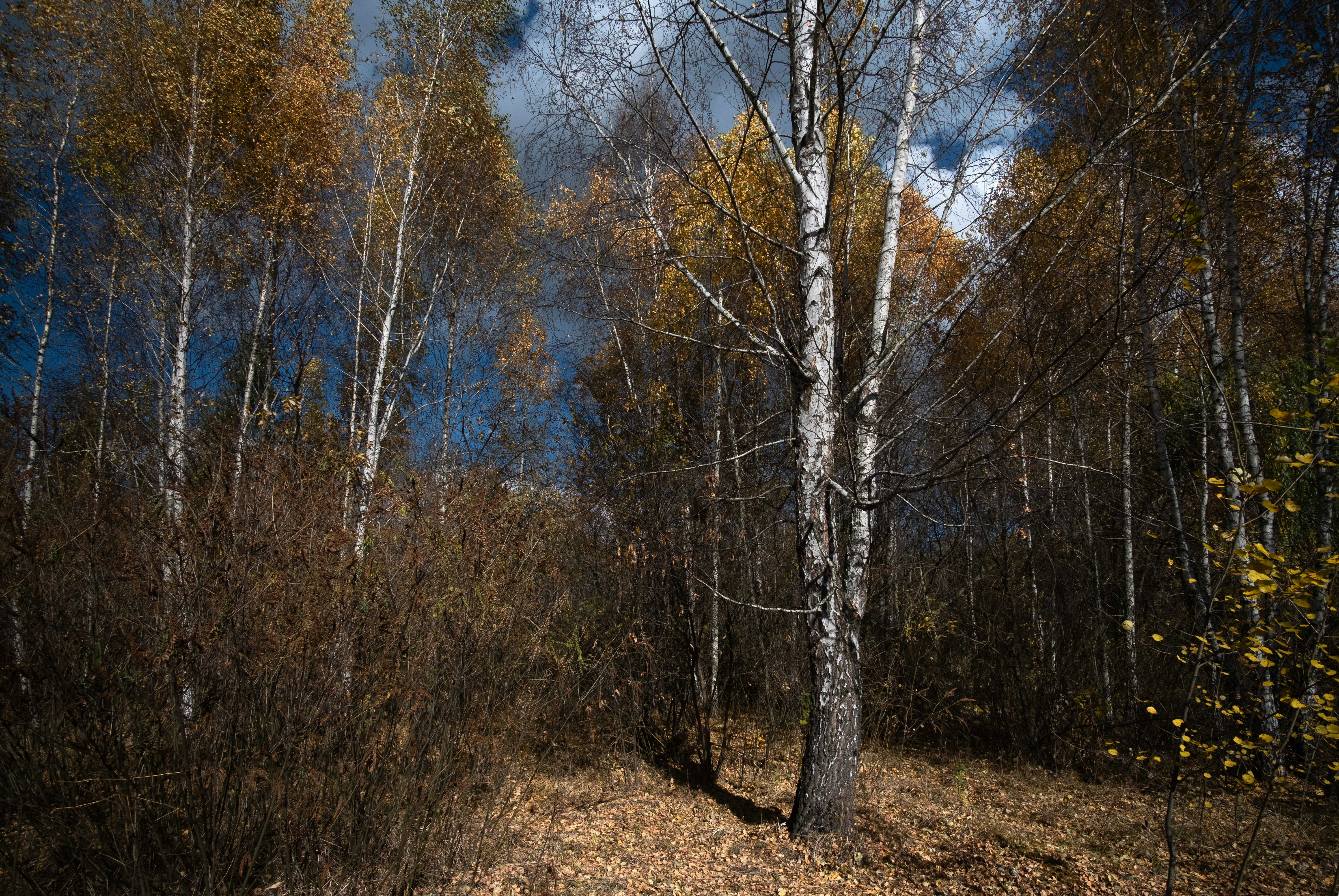 Photo by sevencolors