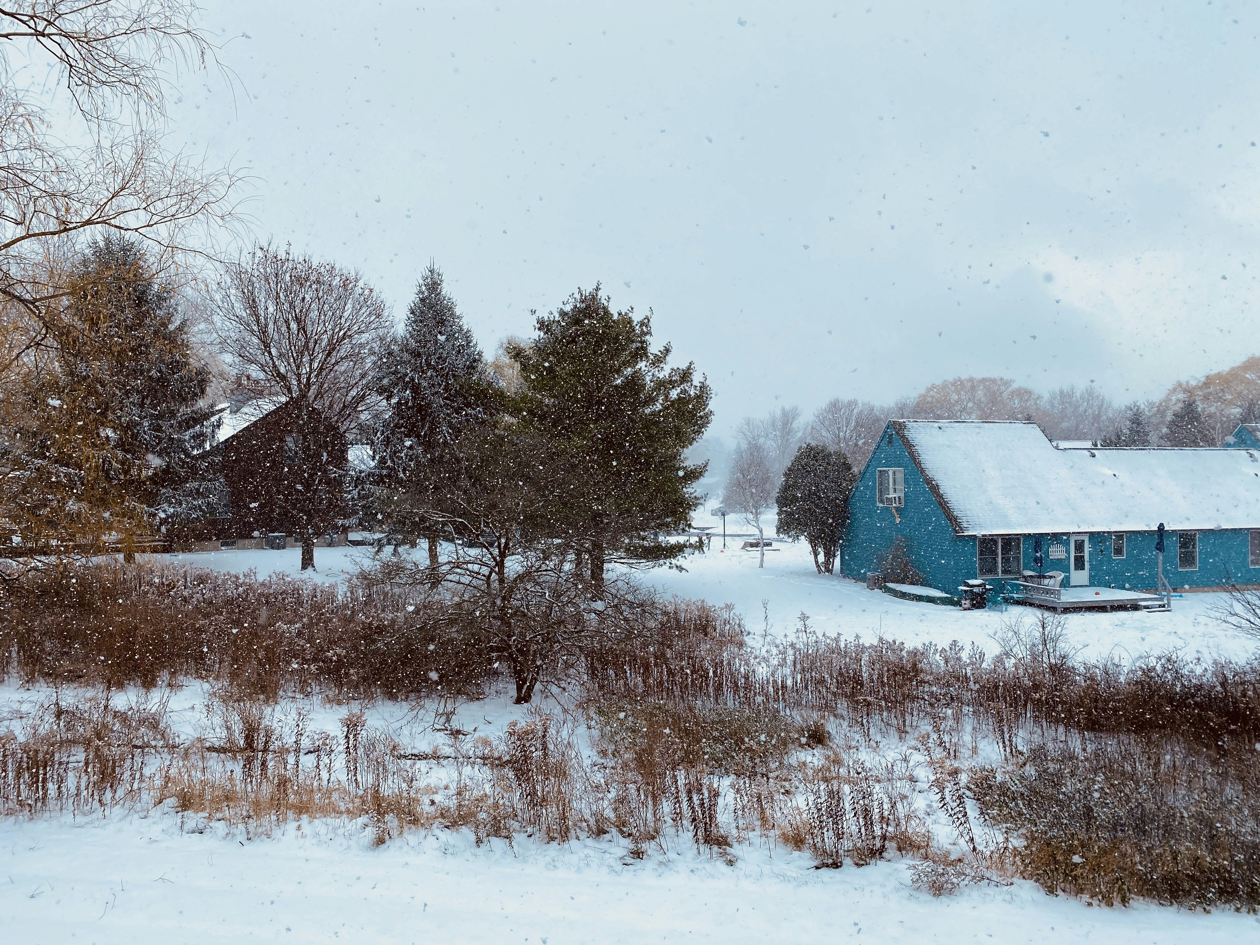 Photo by mengwei_lin