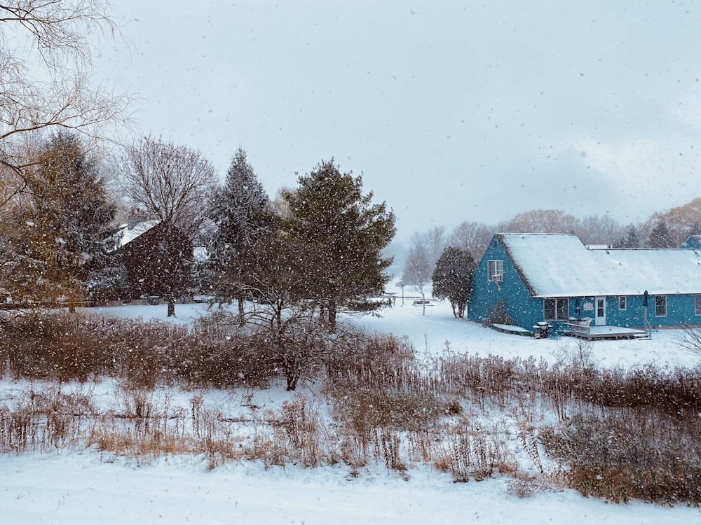 a blue house in the middle of a snowy field