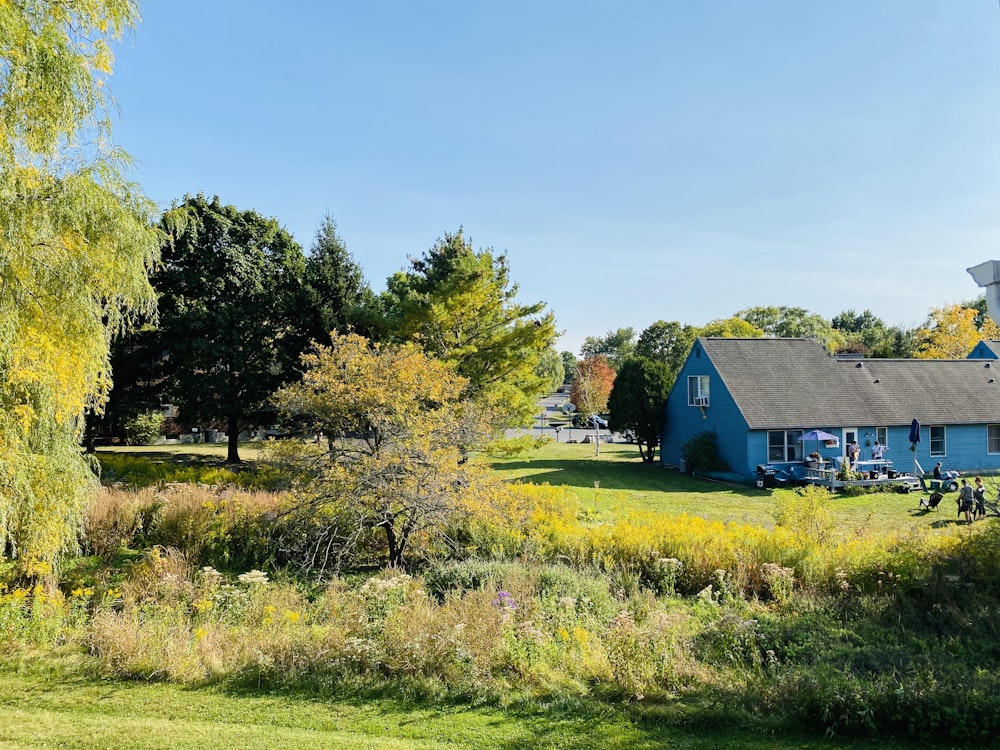 a blue house in the middle of a field