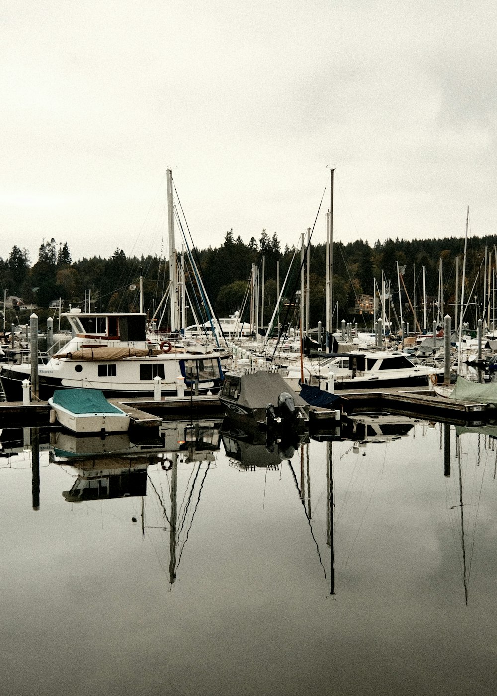 ein Haufen Boote, die im Wasser sitzen