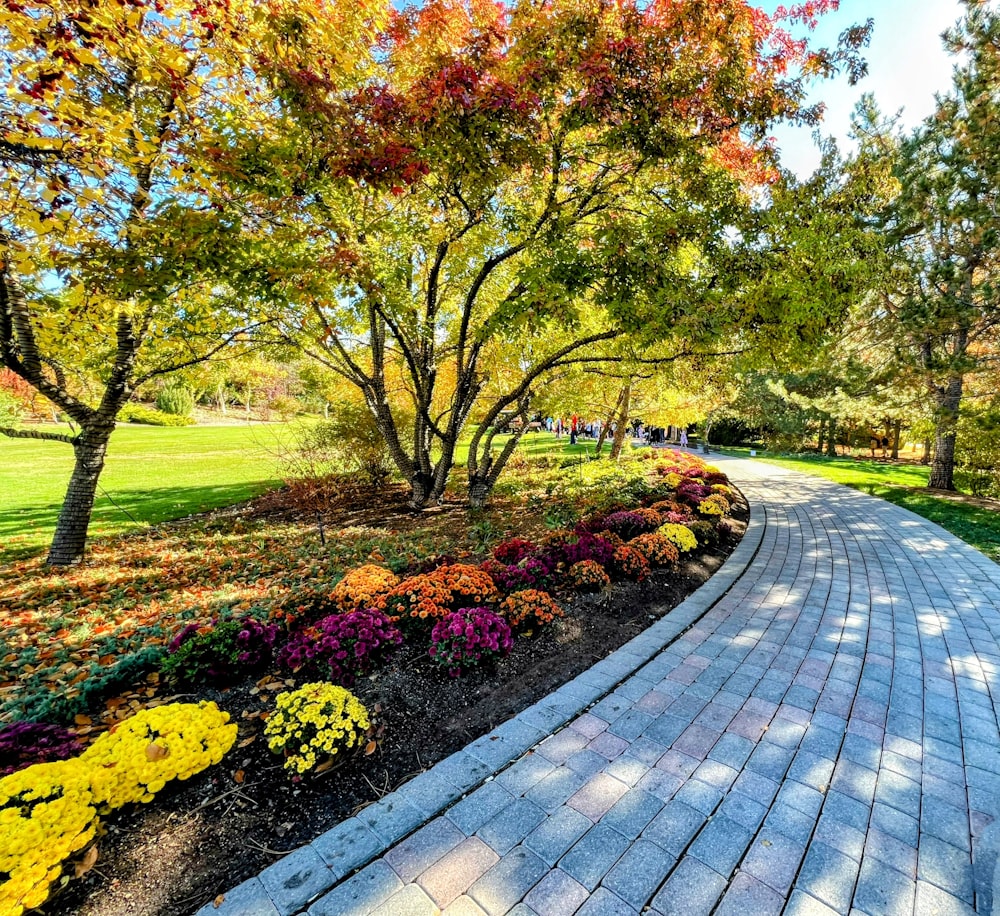 a brick walkway surrounded by colorful flowers and trees