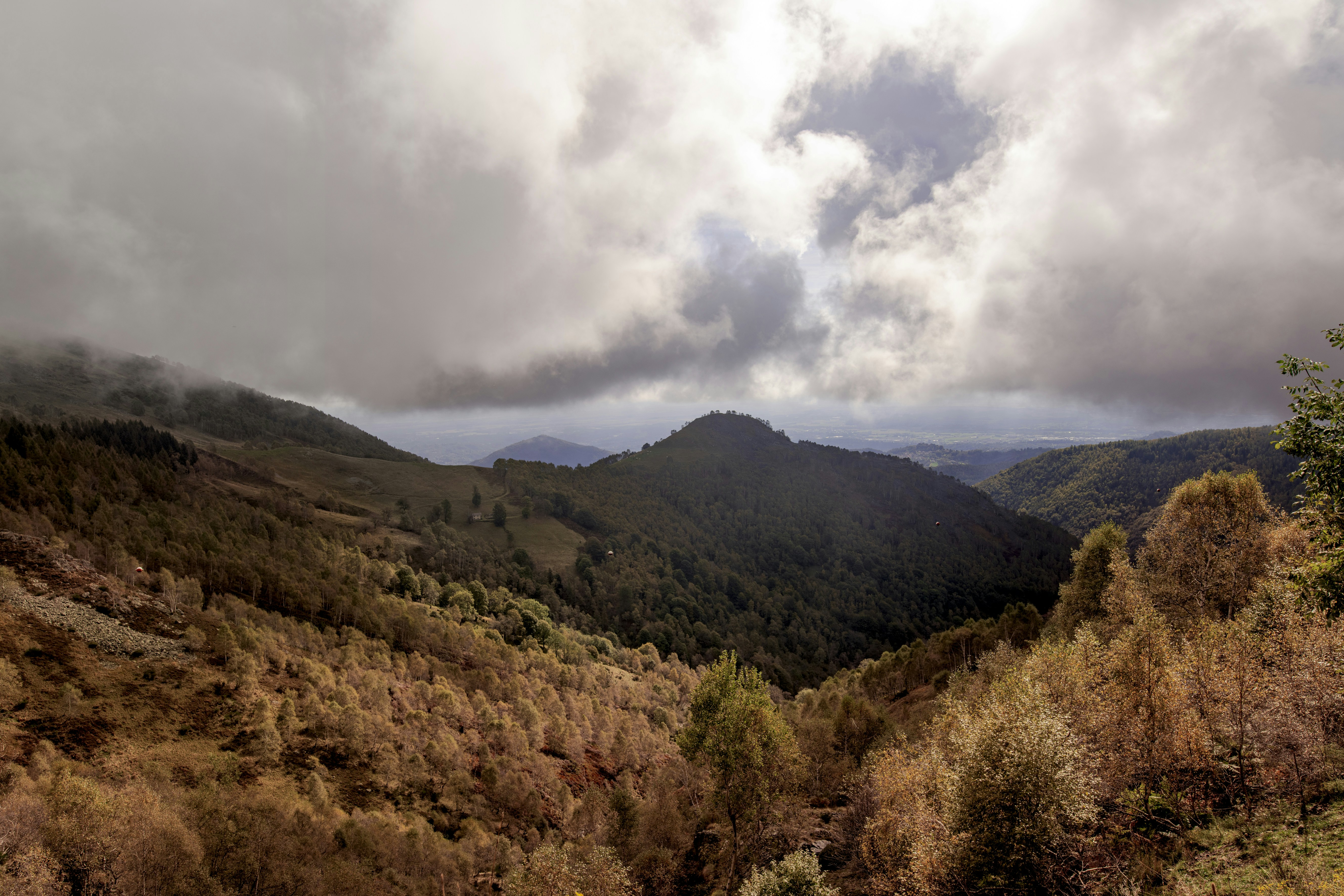 Photo by lauraadaiphoto