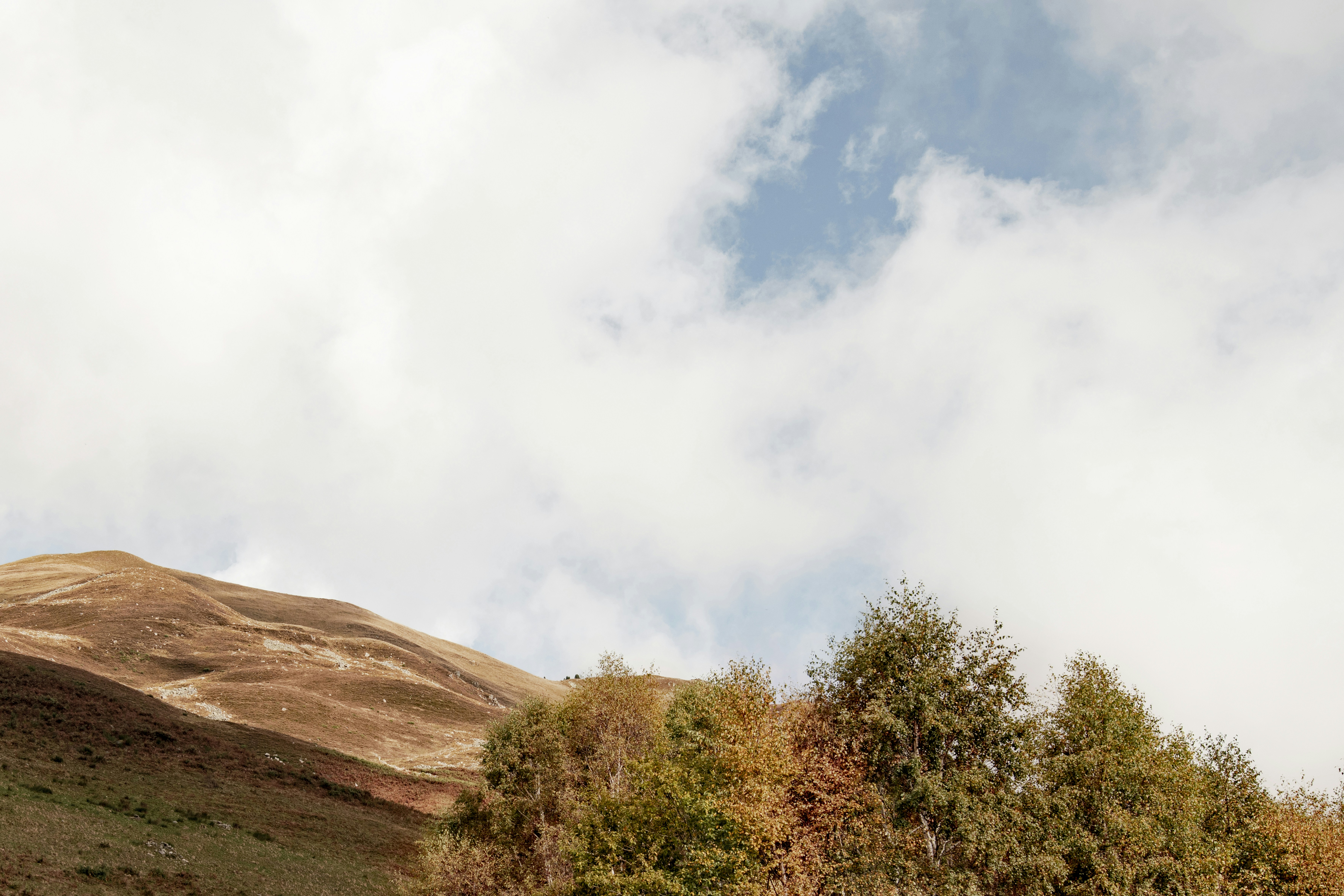 Photo by lauraadaiphoto