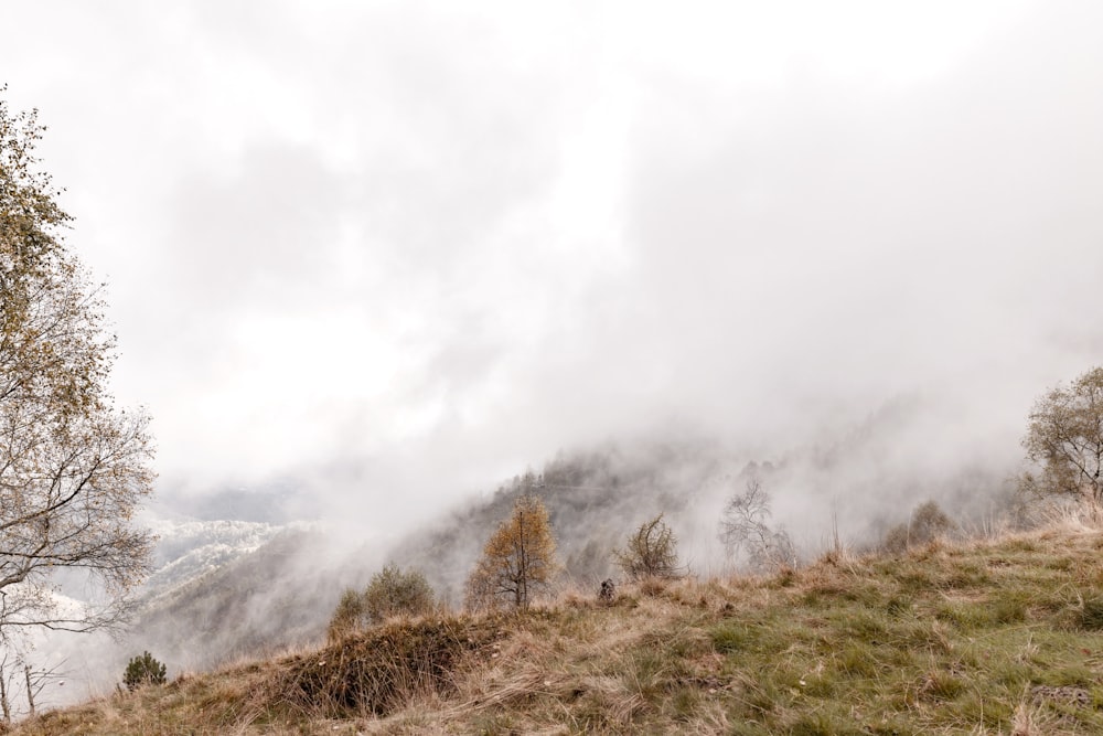 a foggy mountain with trees on the side of it