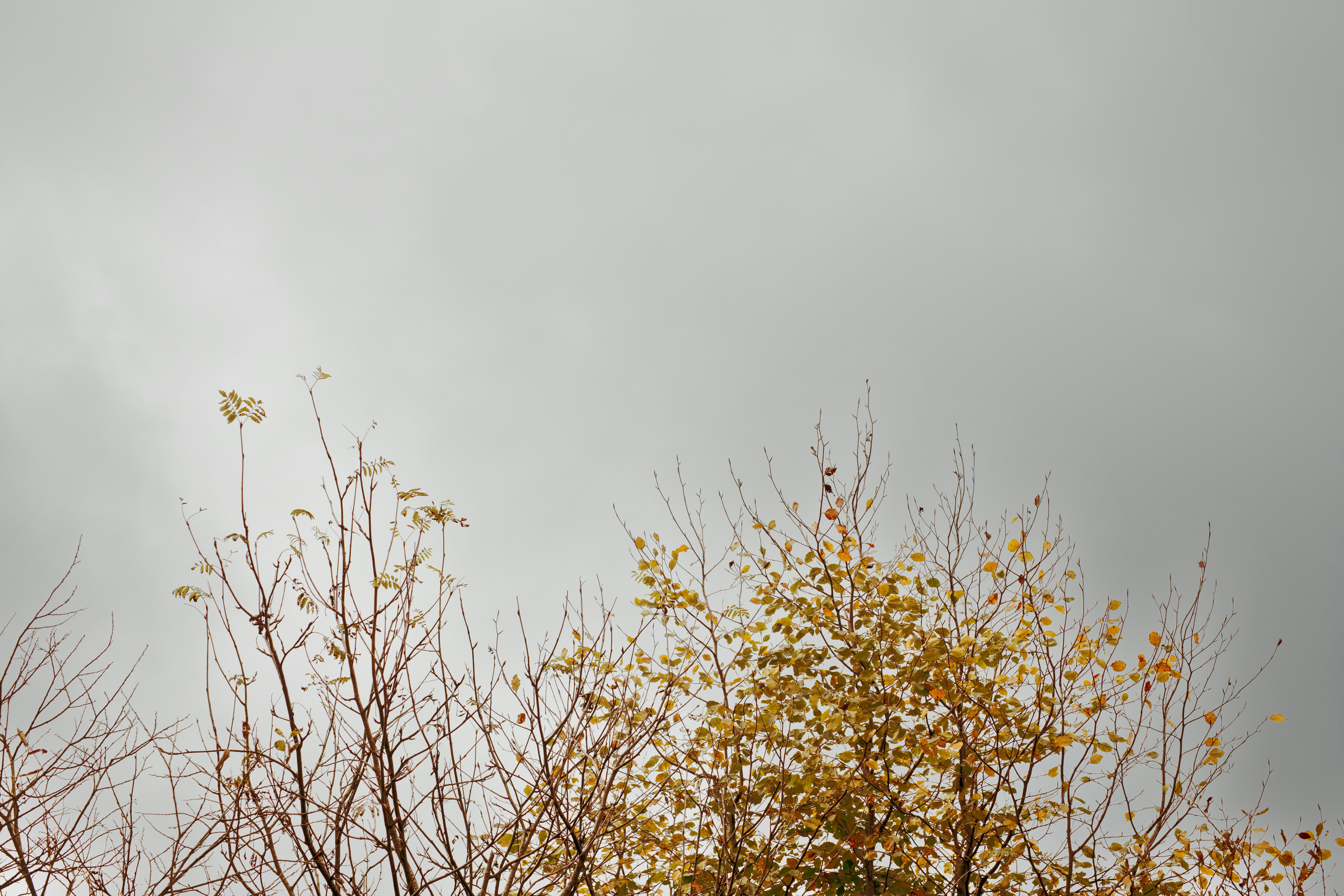 Photo by lauraadaiphoto