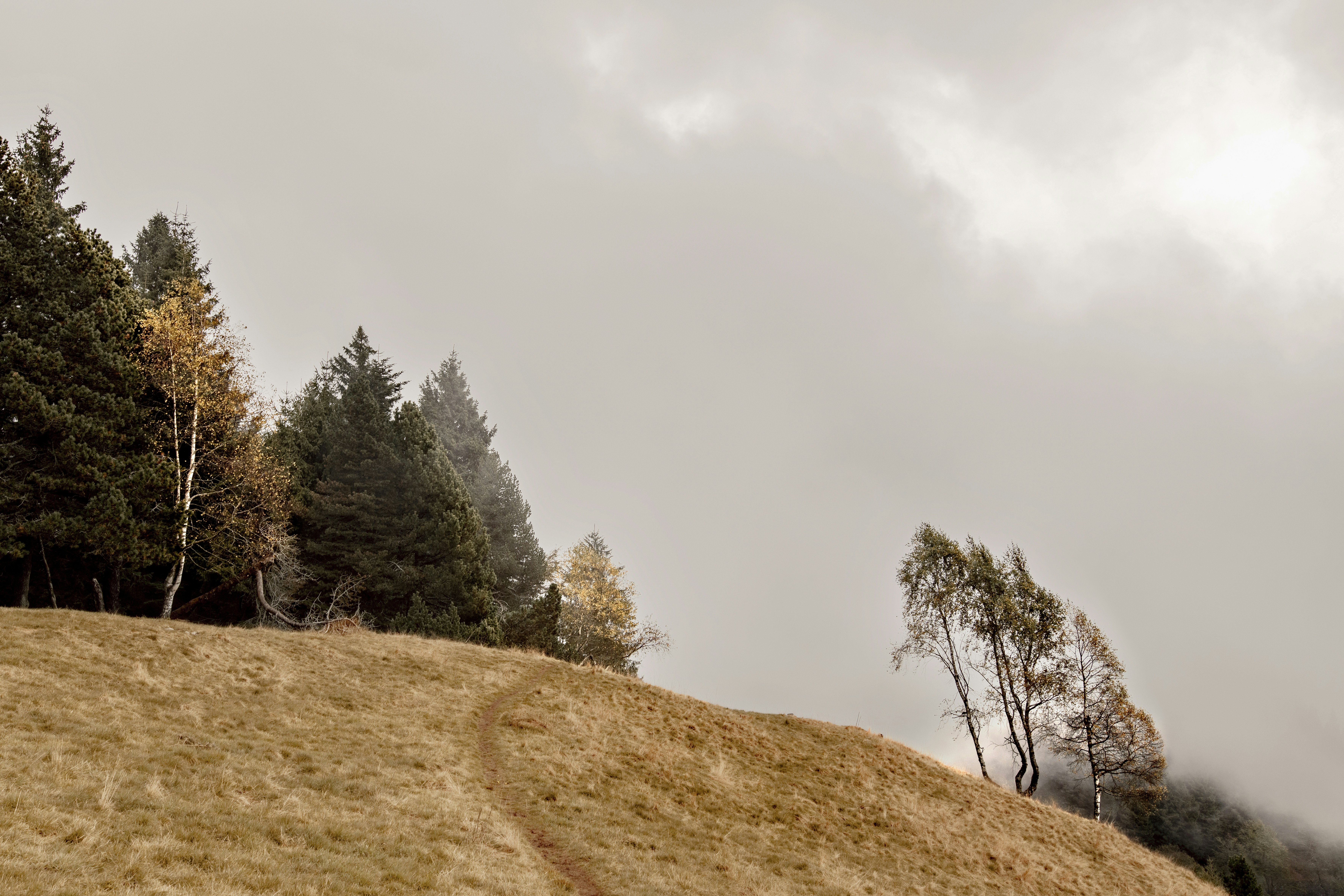 Photo by lauraadaiphoto