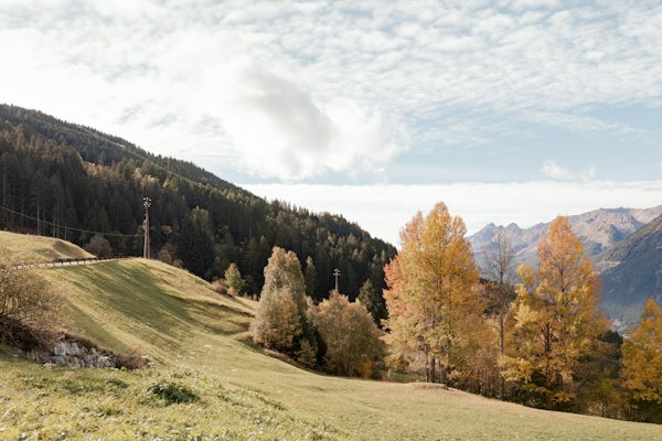 A view of a grassy hill with trees in the background — Bormio, Italy