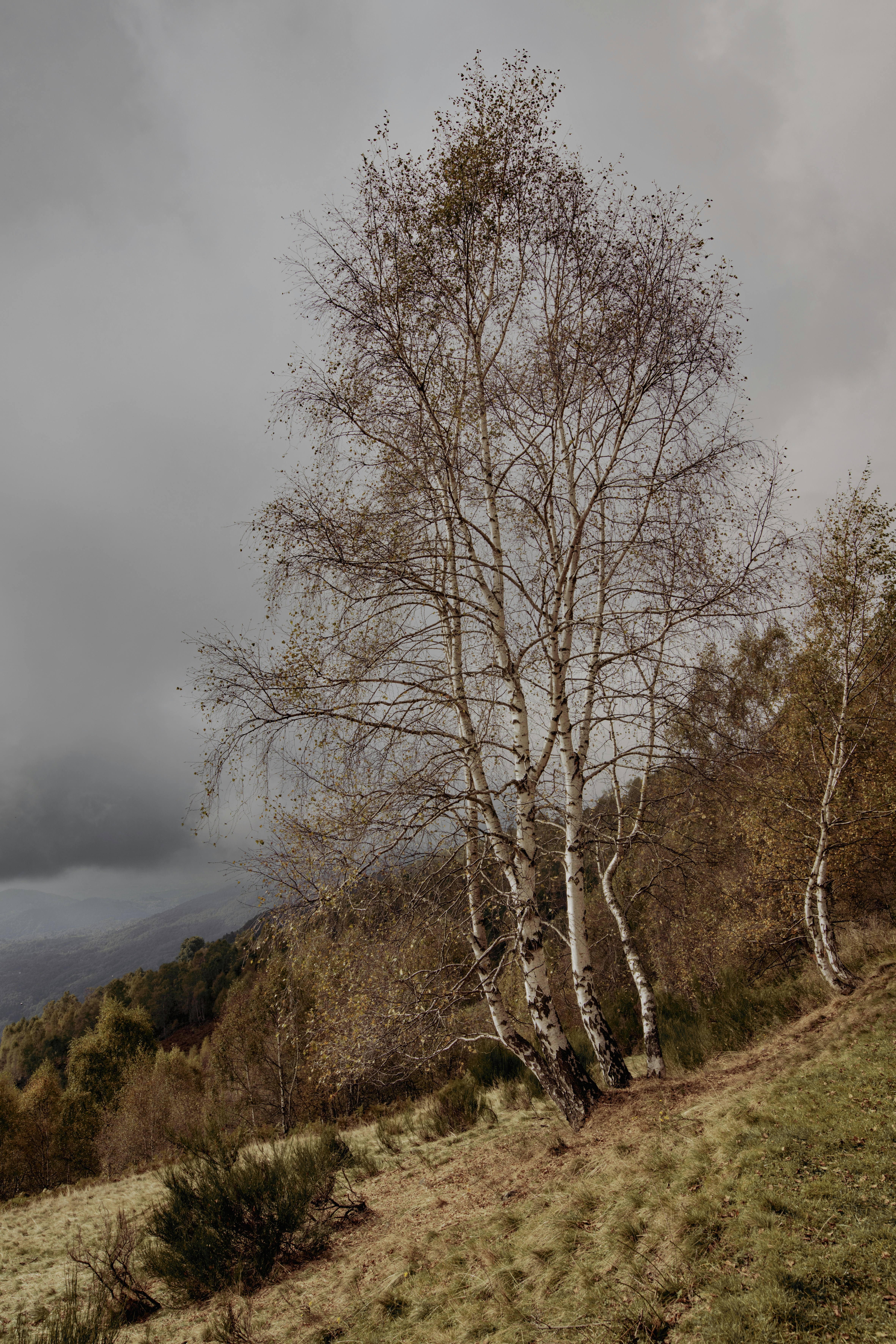 Photo by lauraadaiphoto