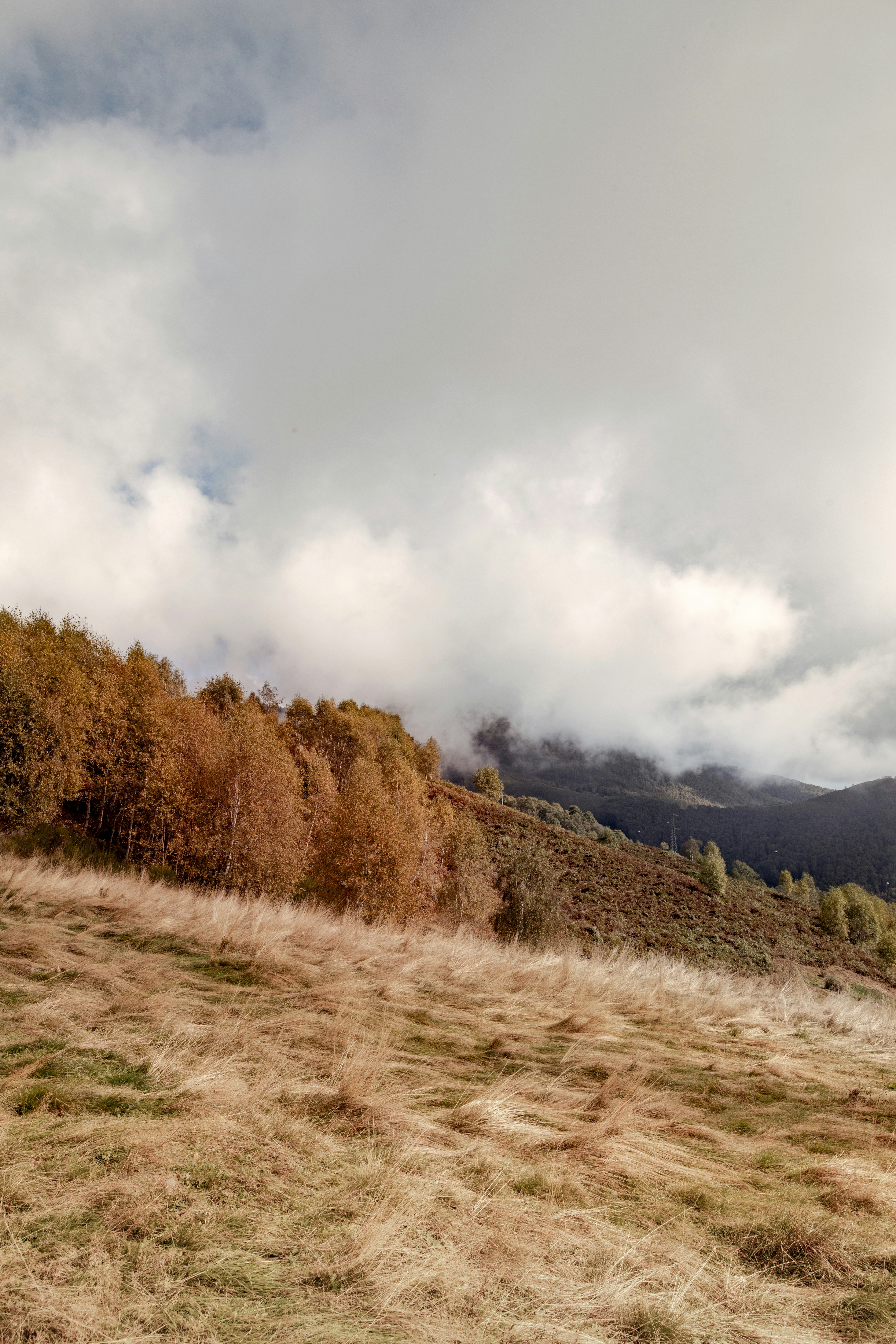 Photo by lauraadaiphoto