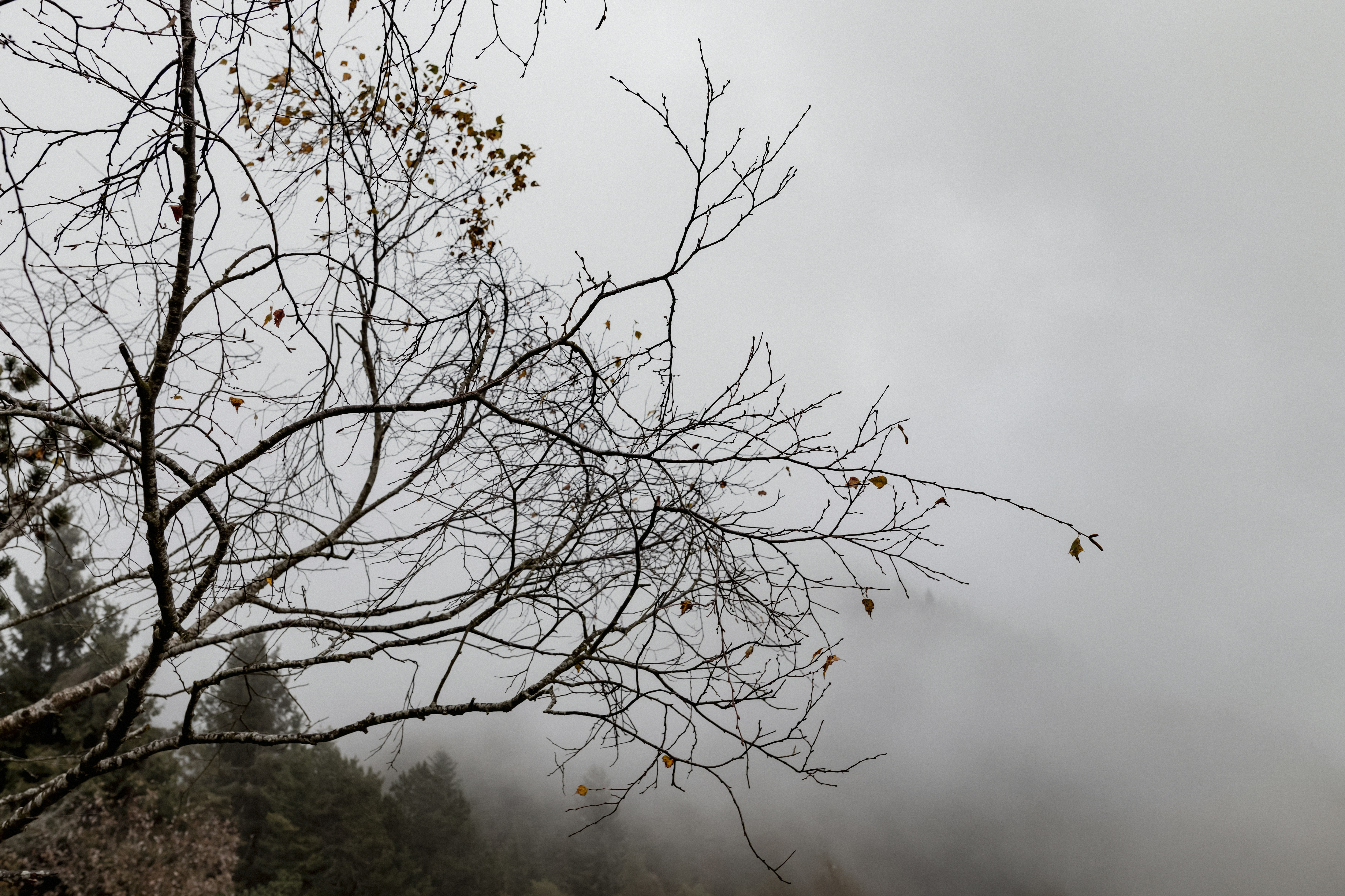 Photo by lauraadaiphoto