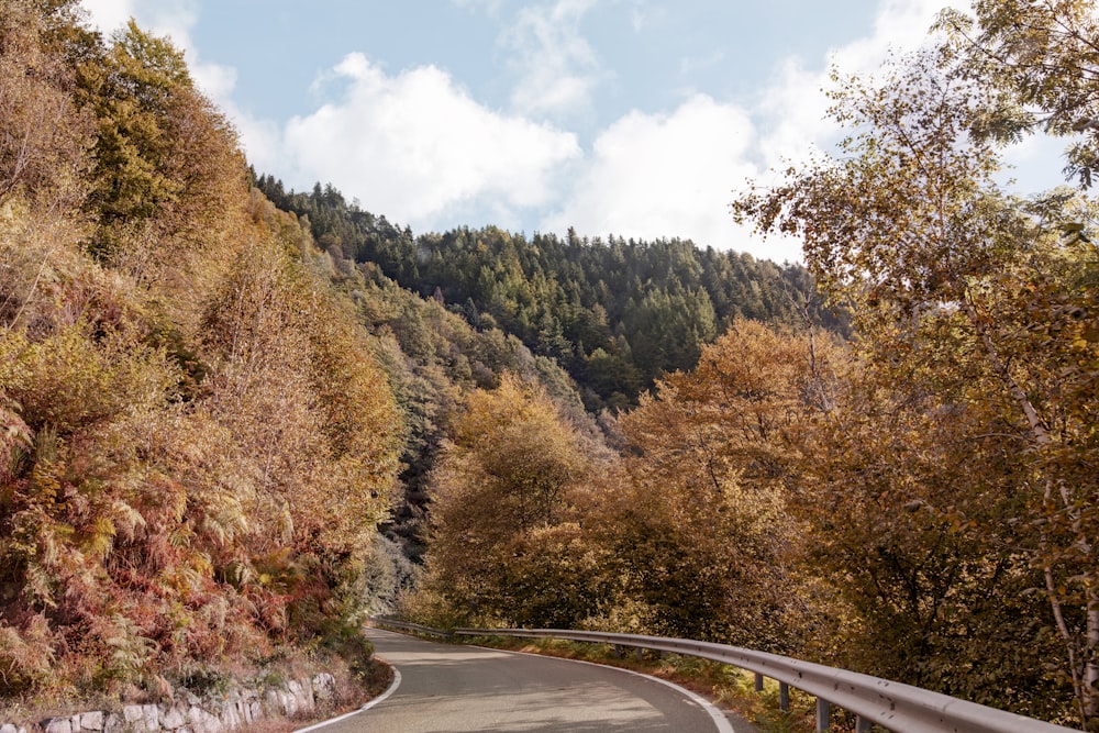 a winding road surrounded by trees and a forest