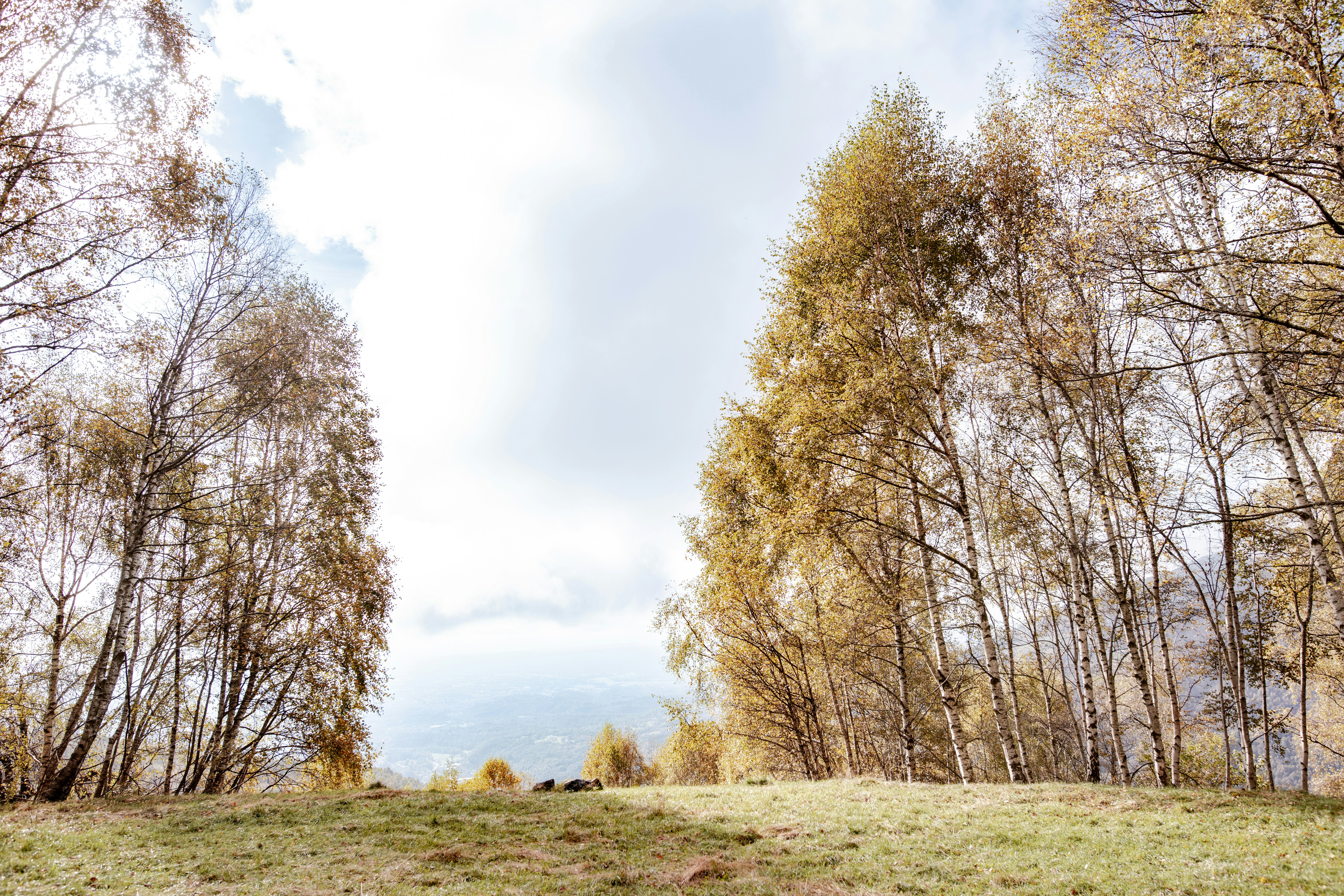 Photo by lauraadaiphoto