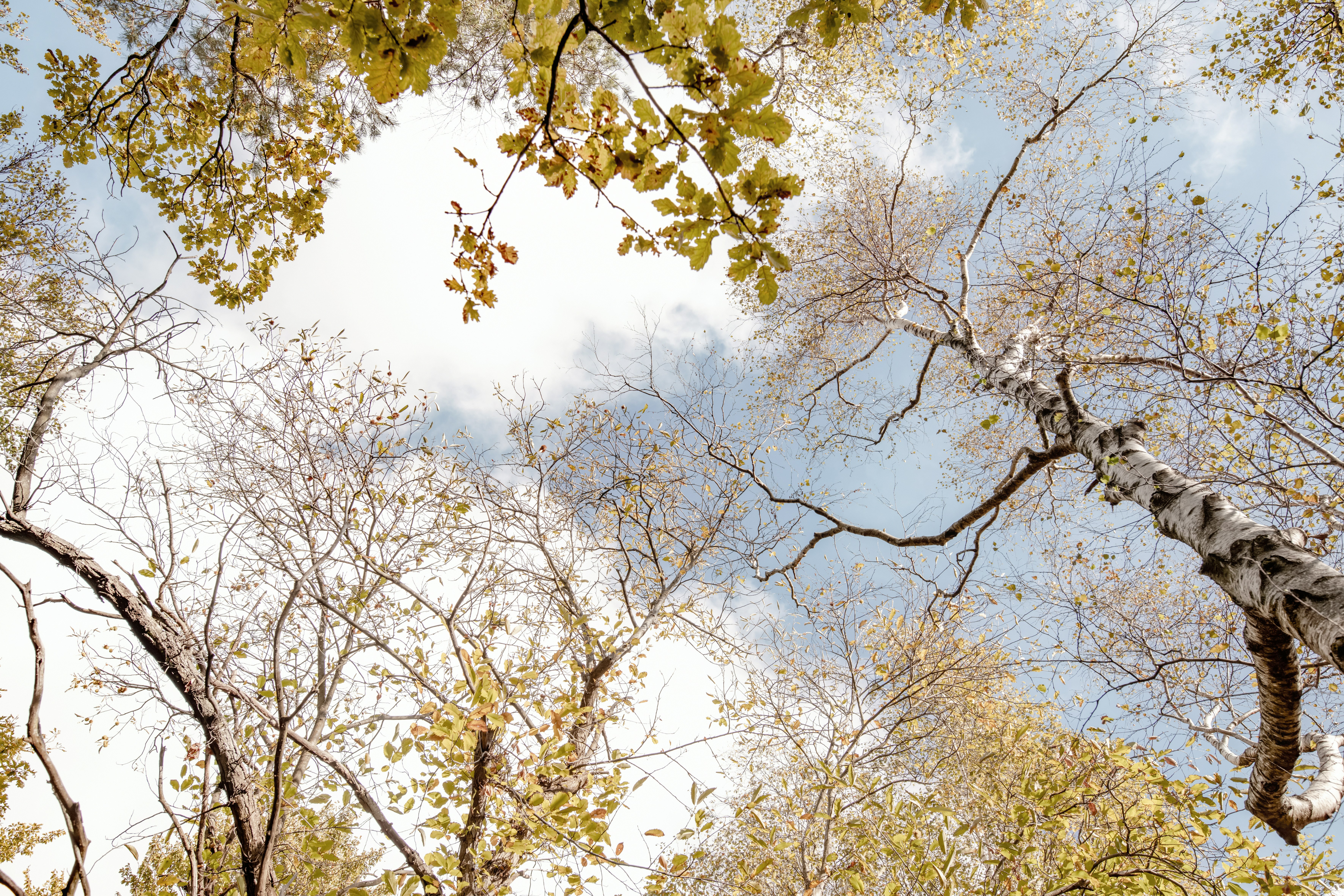 Photo by lauraadaiphoto